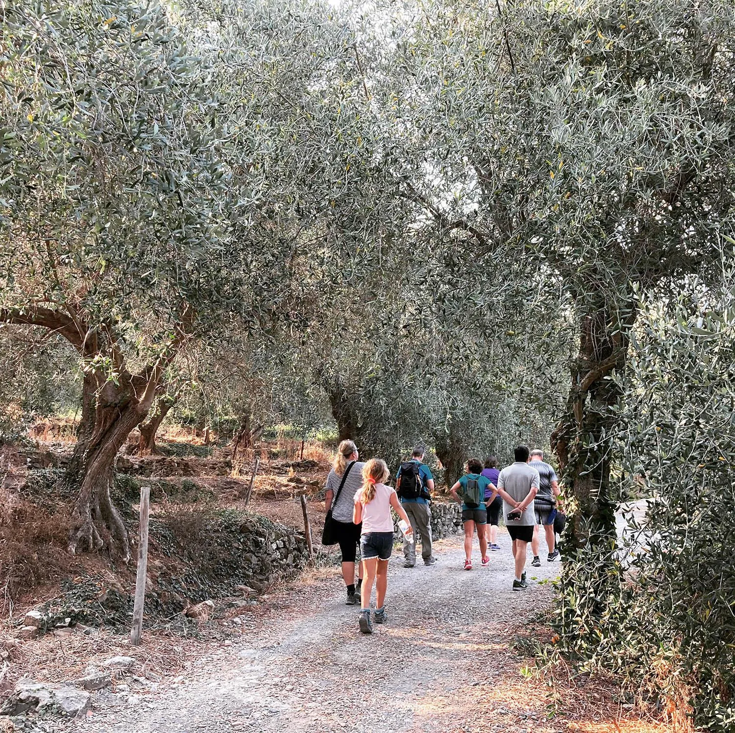 Hiking in Hotel Caravelle Thalasso & Wellness