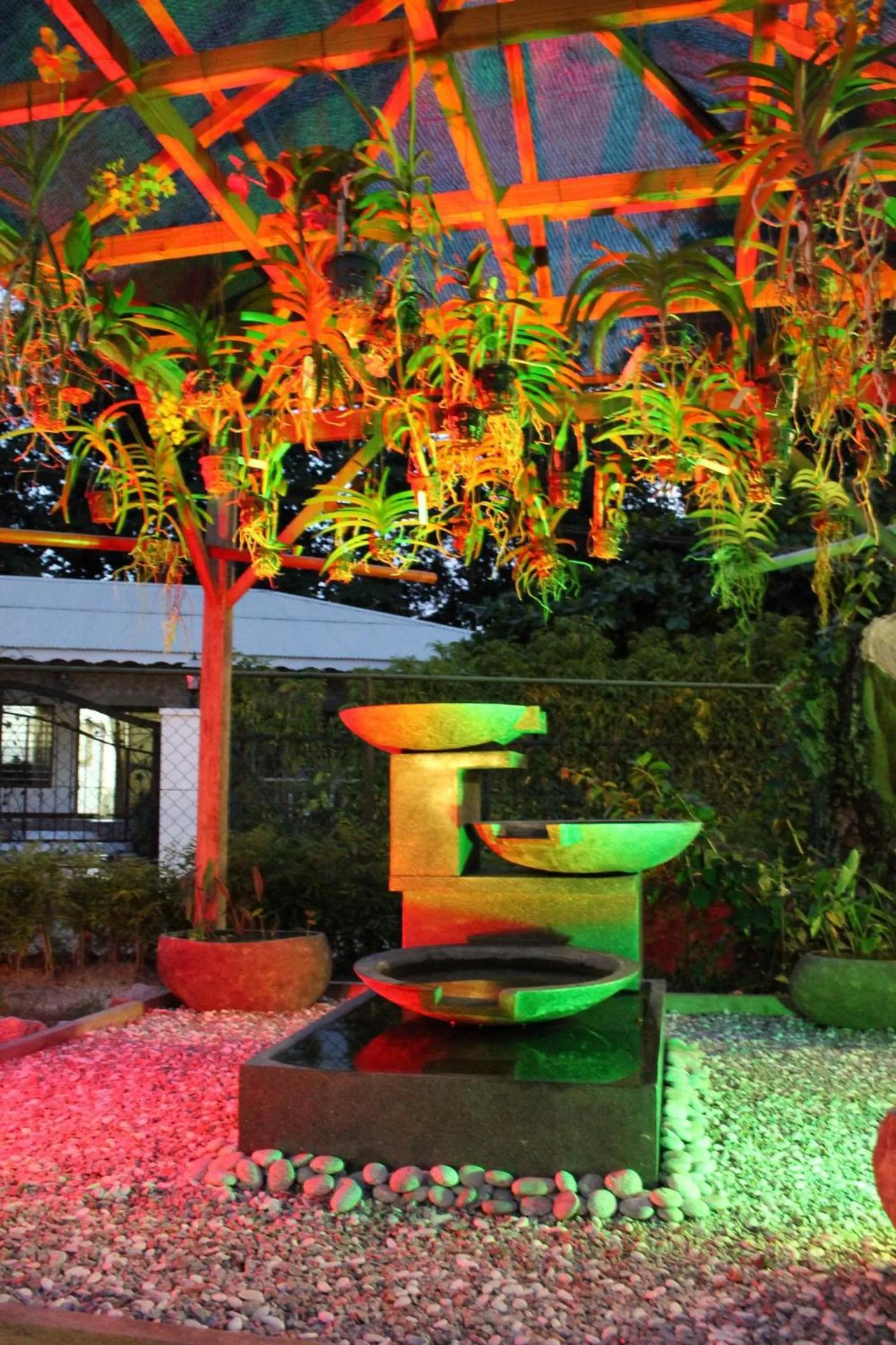 Garden in Cabanes Des Anges