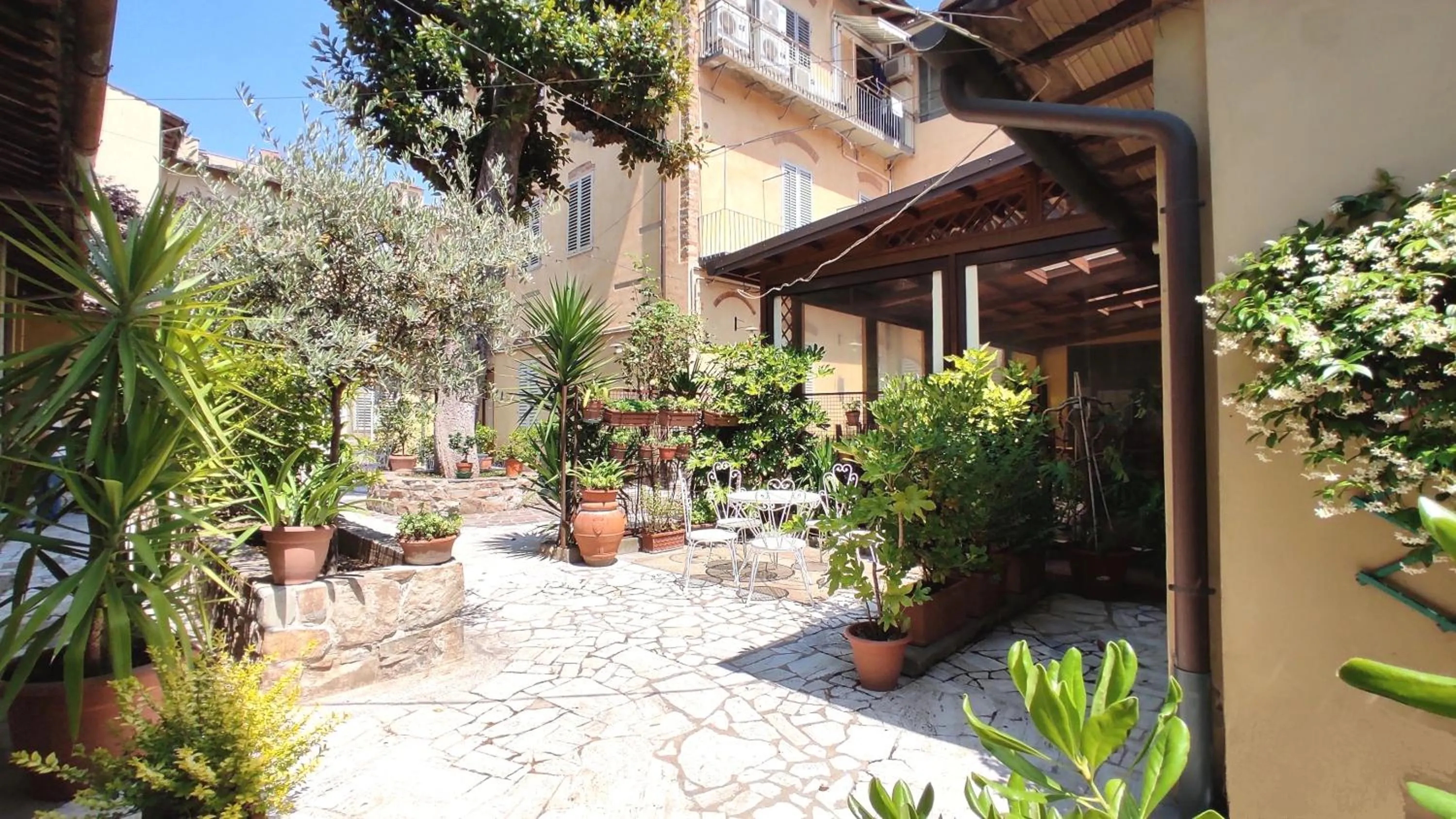 Garden in Hotel Rita Major
