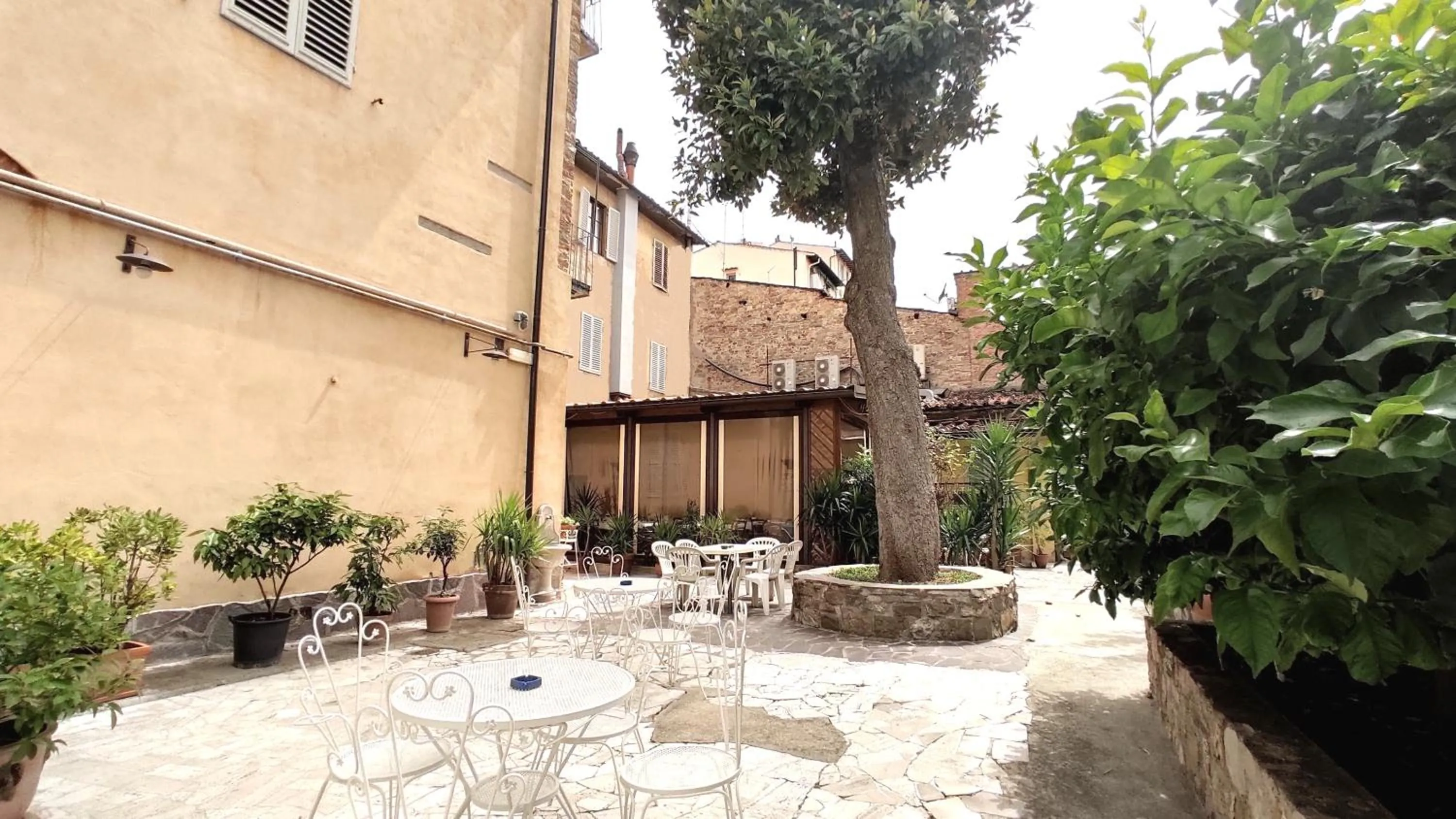 Garden in Hotel Rita Major