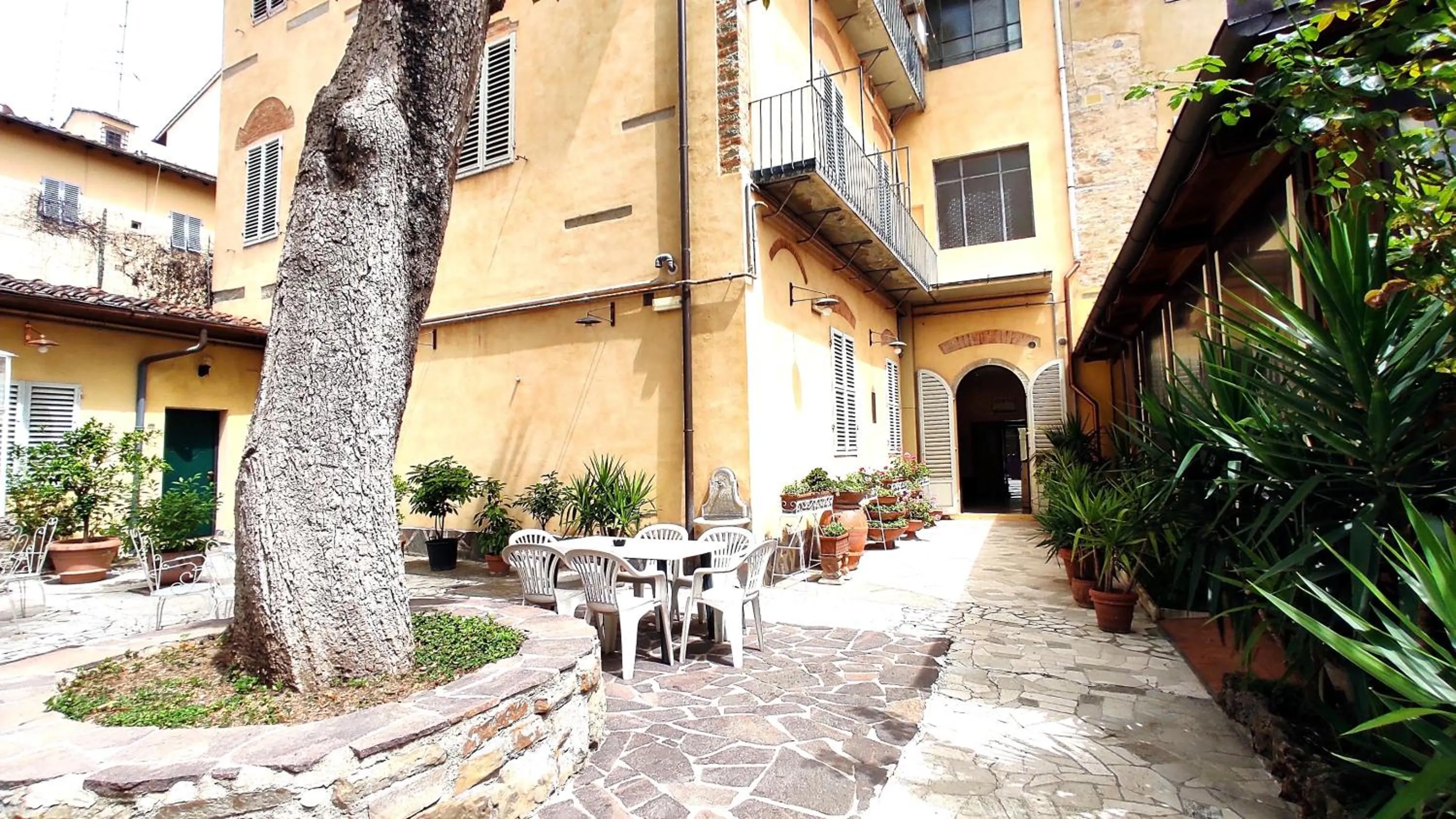 Garden in Hotel Rita Major