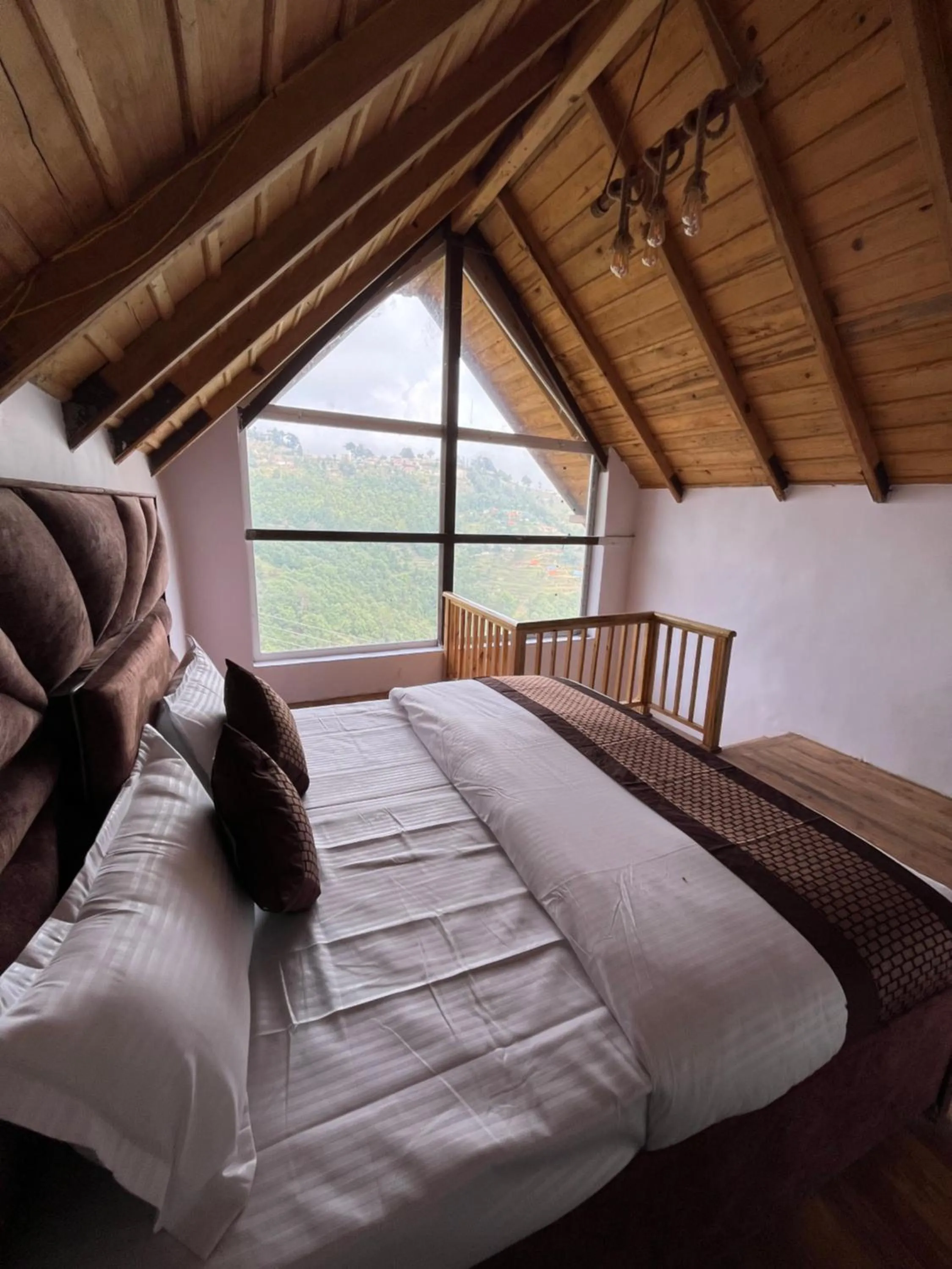 Bird's eye view in THE FIG