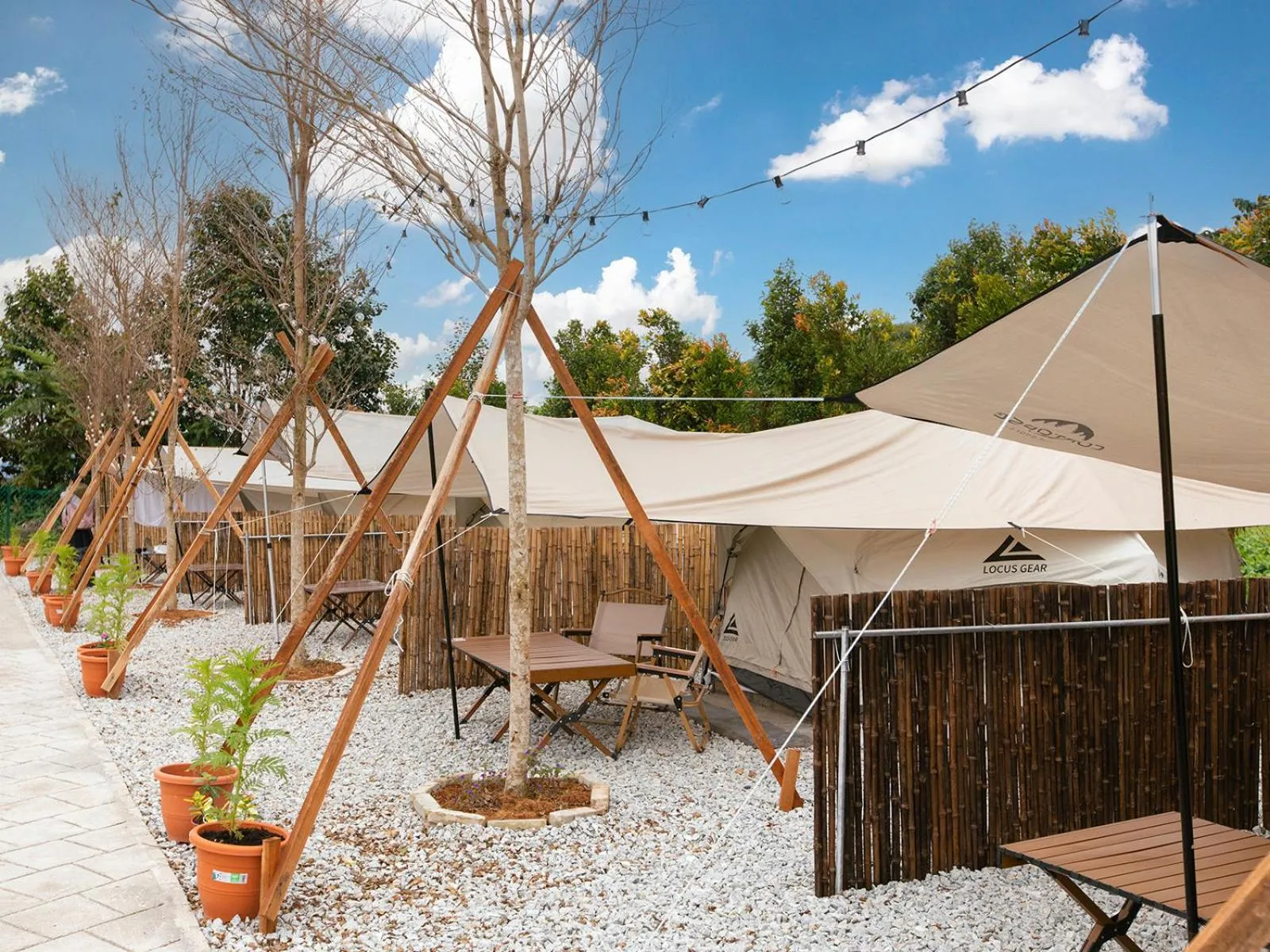 Stellar GoldenHill Cameron