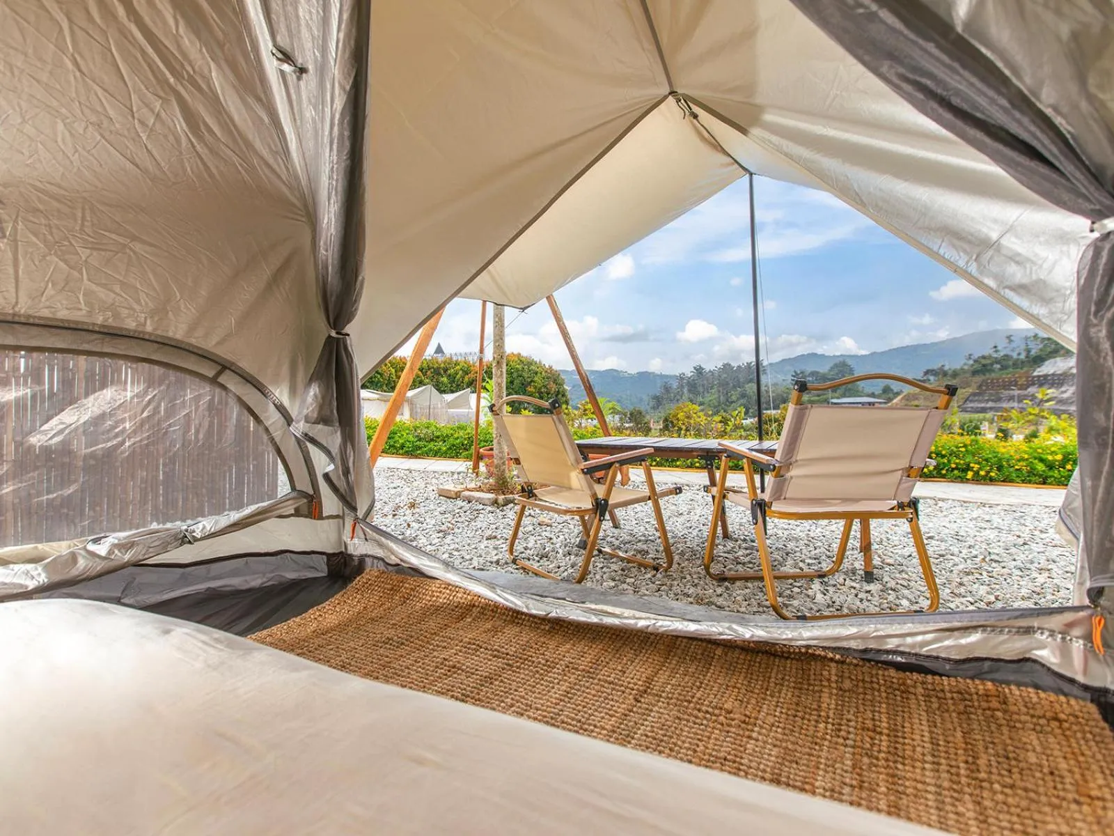 Stellar GoldenHill Cameron