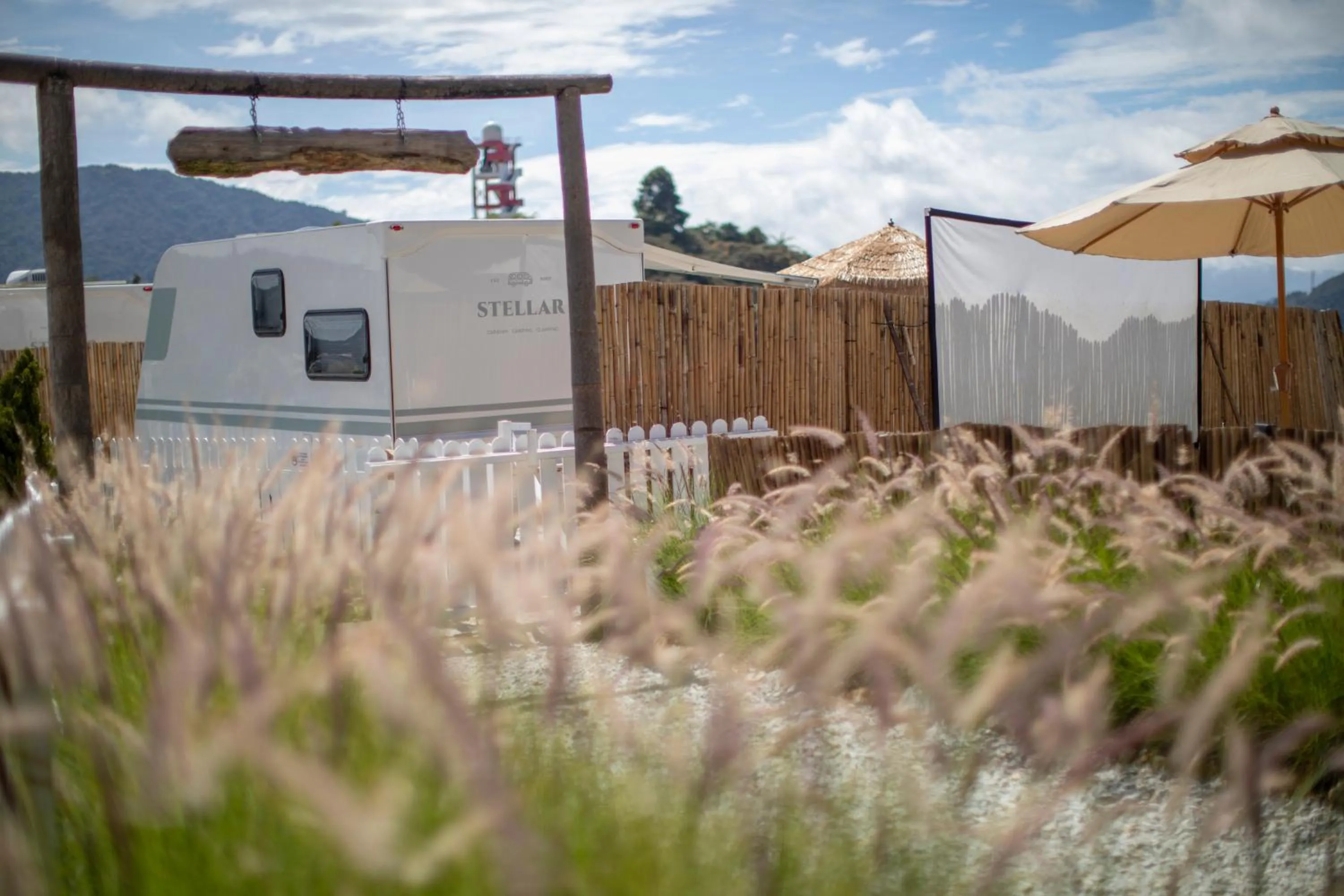 Garden in Stellar GoldenHill Cameron