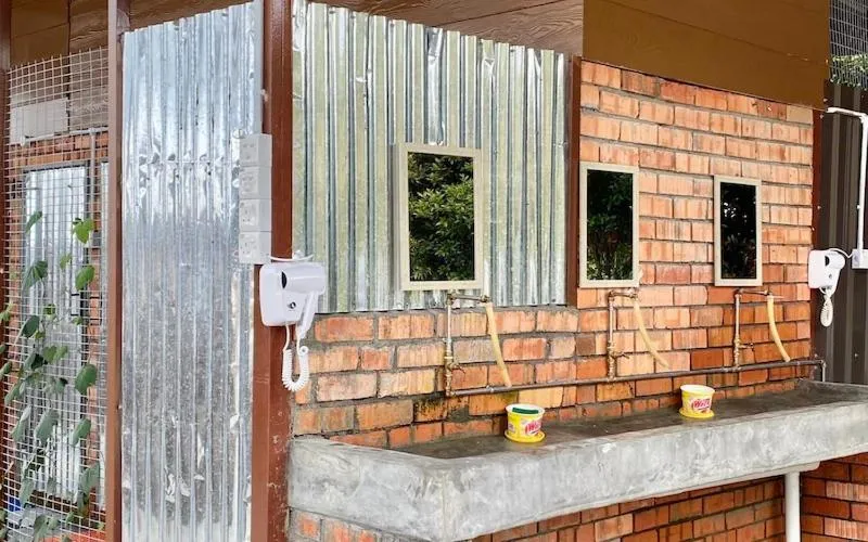 Stellar GoldenHill Cameron