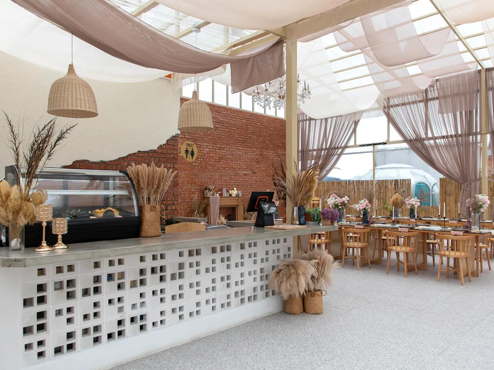 Stellar GoldenHill Cameron