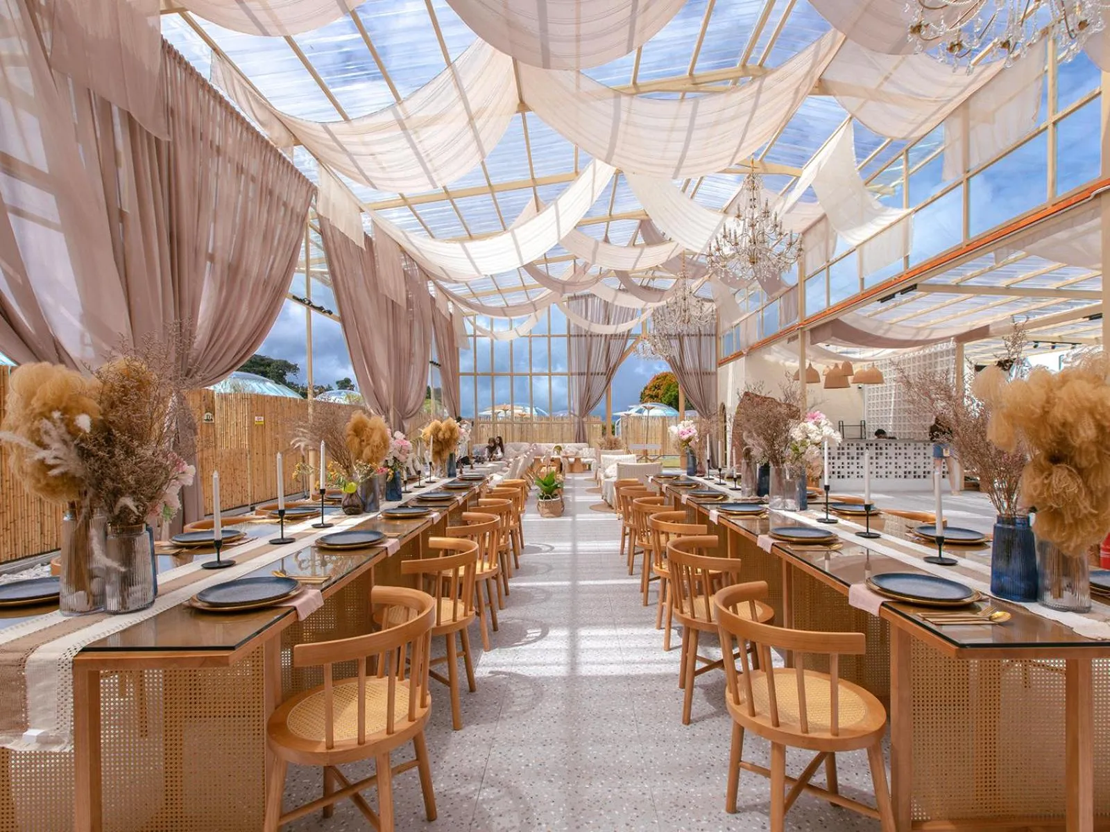 Stellar GoldenHill Cameron