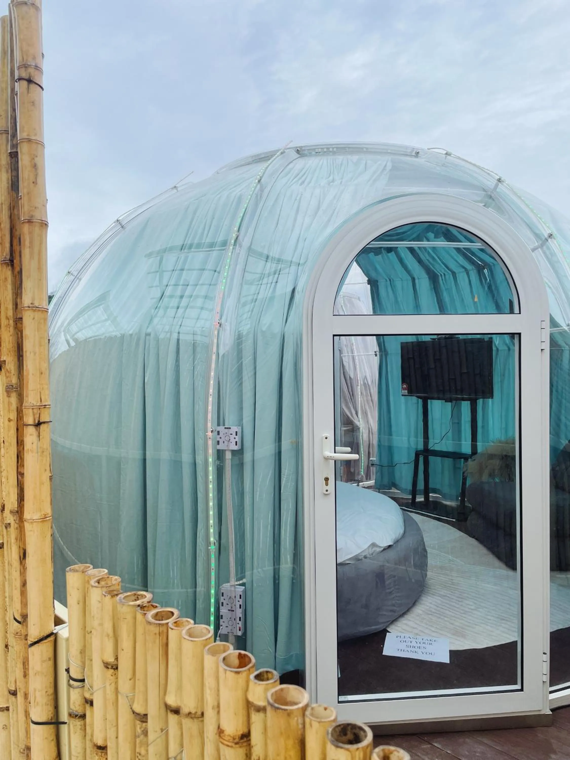 Stellar GoldenHill Cameron