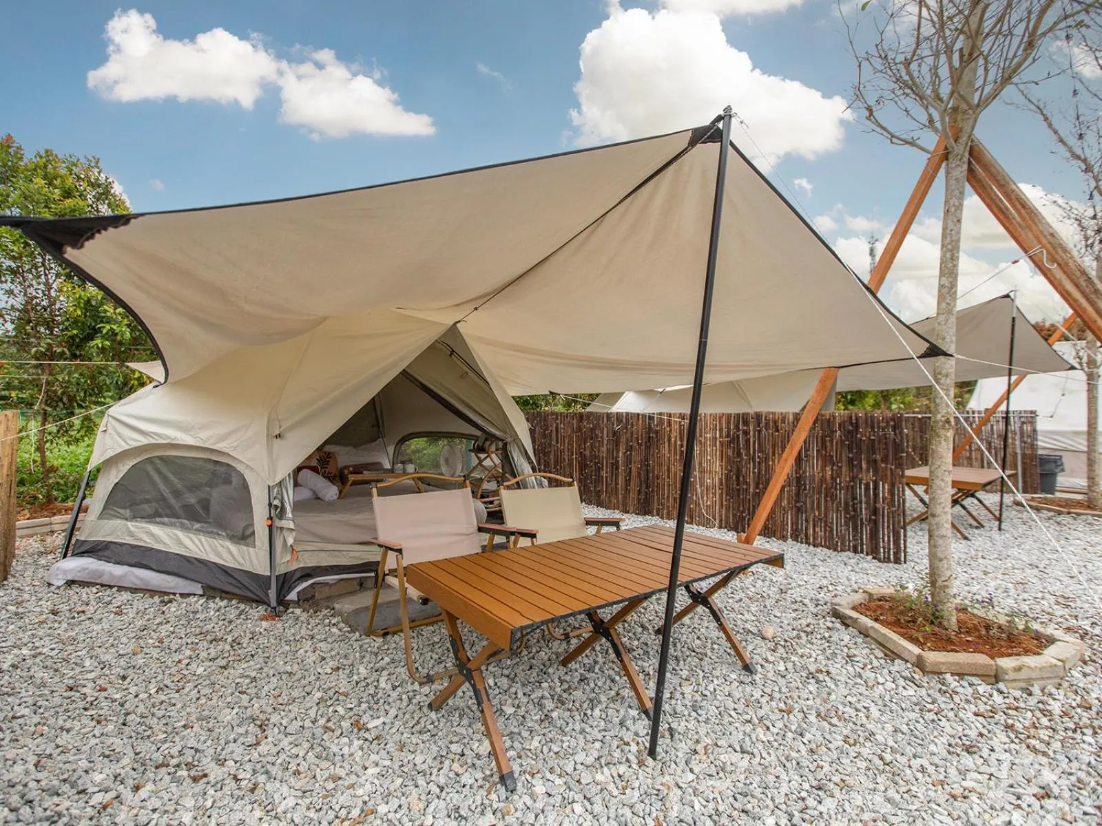 Stellar GoldenHill Cameron