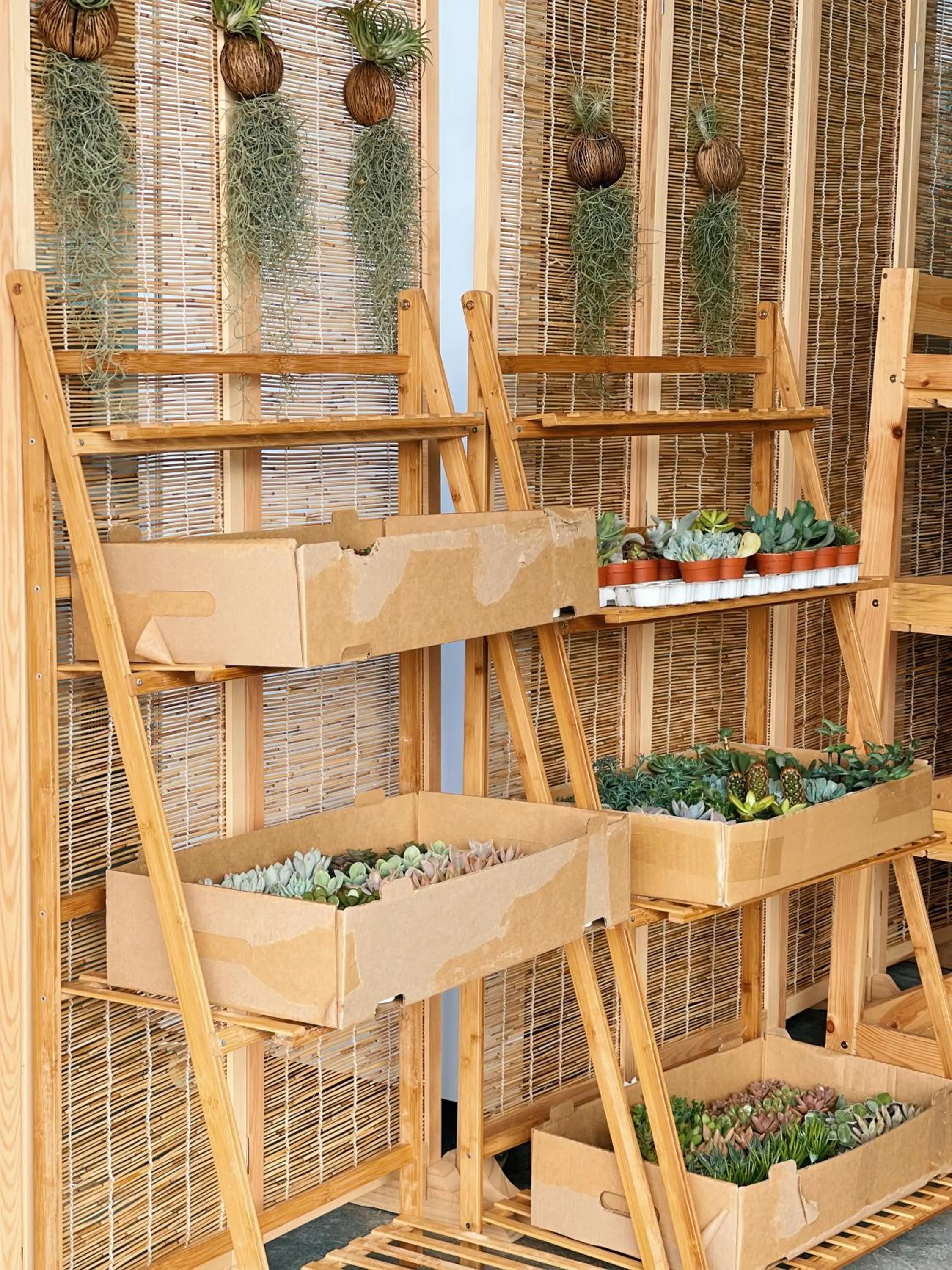 Lobby or reception in Stellar GoldenHill Cameron