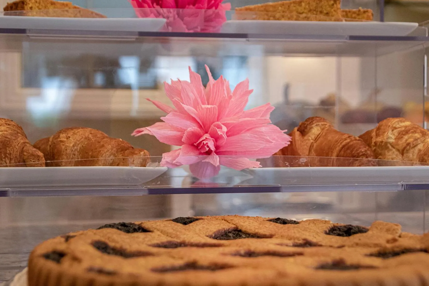 B&B Airone Cervia - Camere e Appartamenti