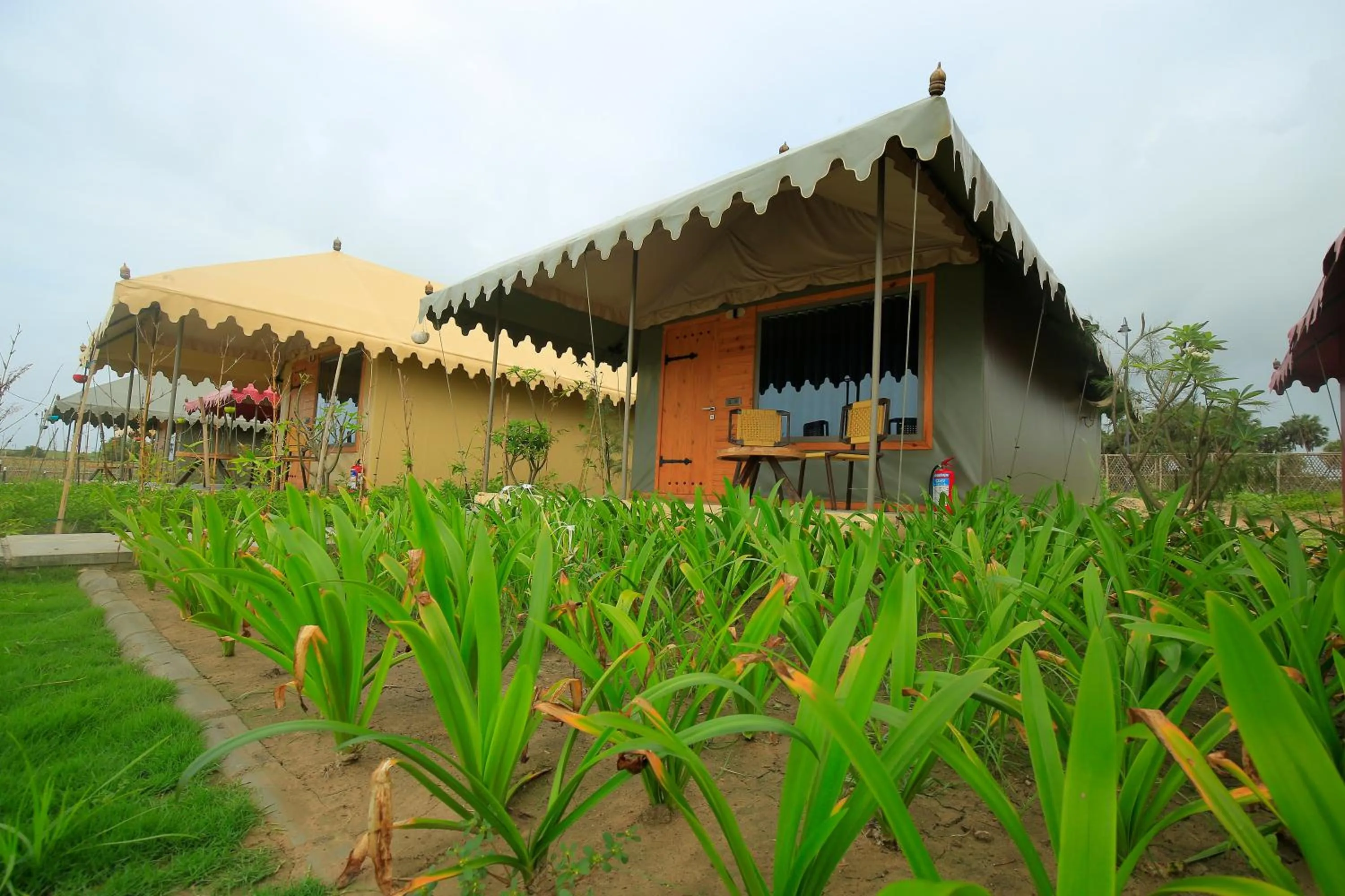View (from property/room) in The Fern Seaside Luxurious Tent Resort Diu