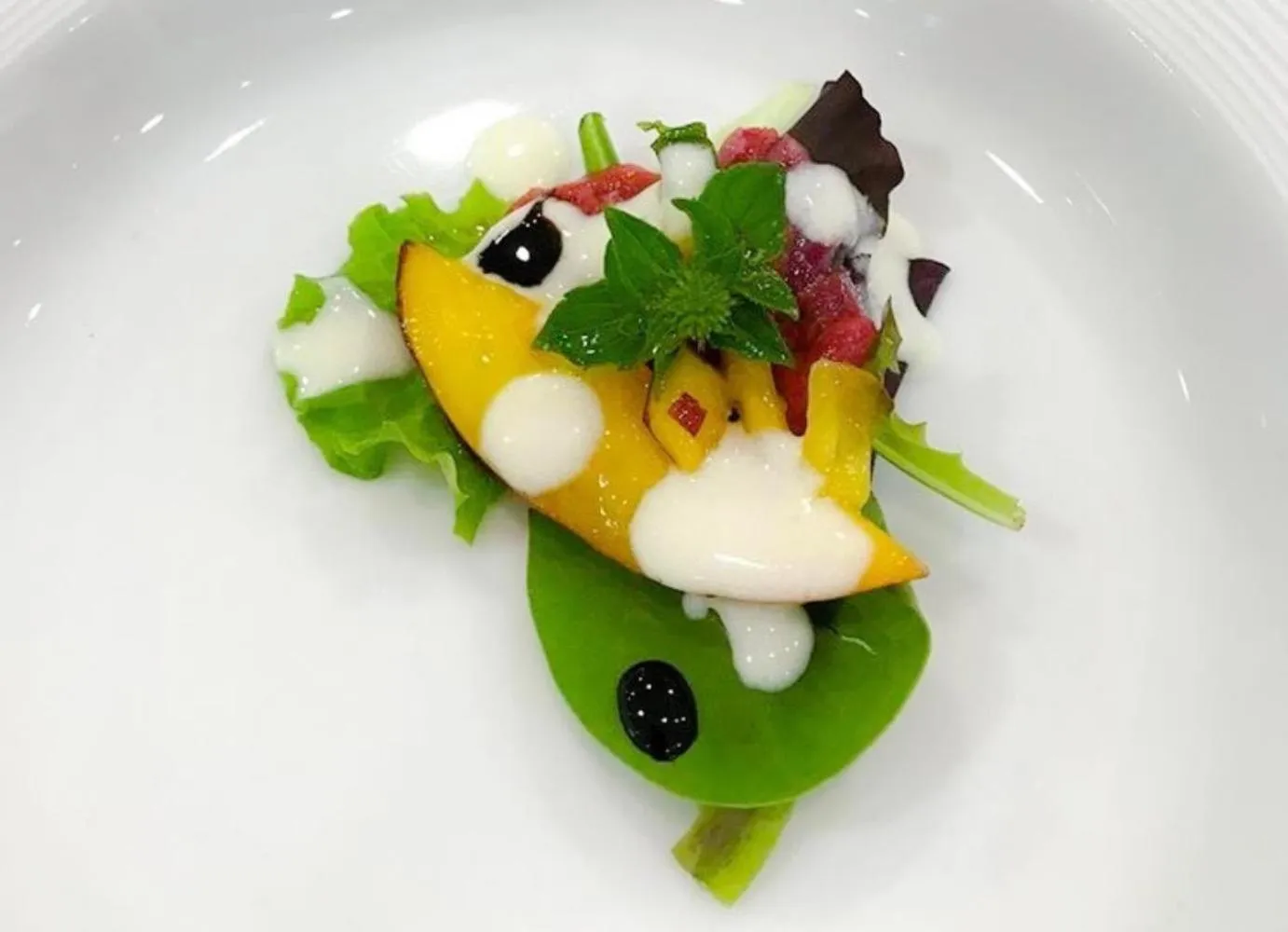 Food and drinks in Nature Bio Hotel Elite