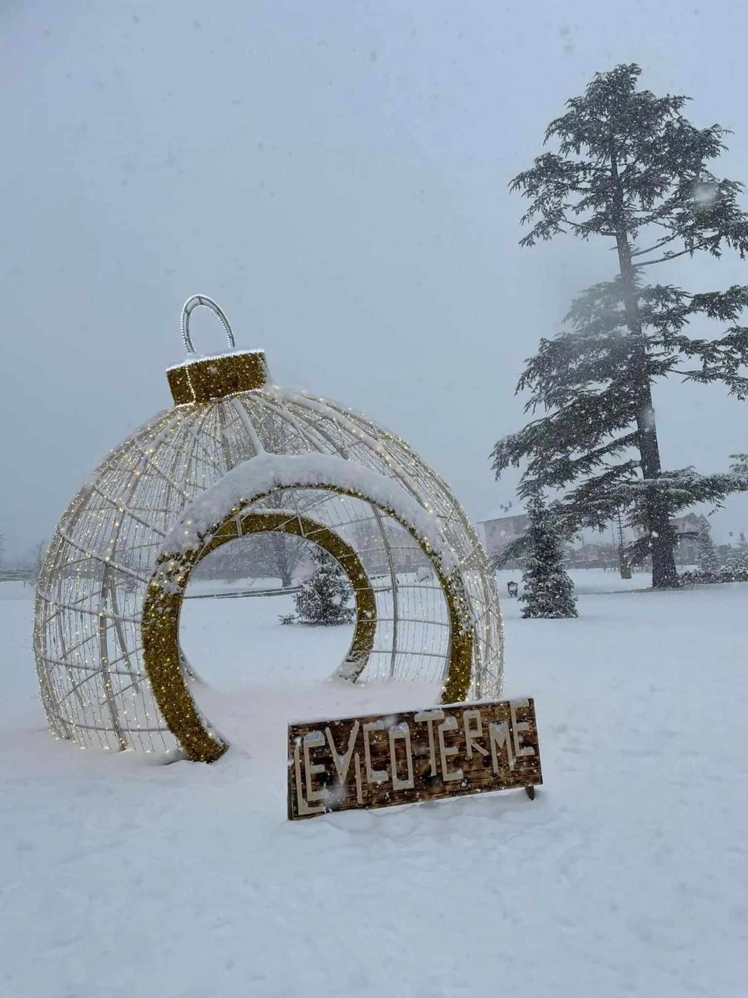 Winter in Nature Bio Hotel Elite