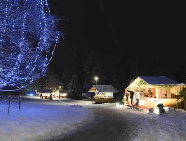 Nature Bio Hotel Elite