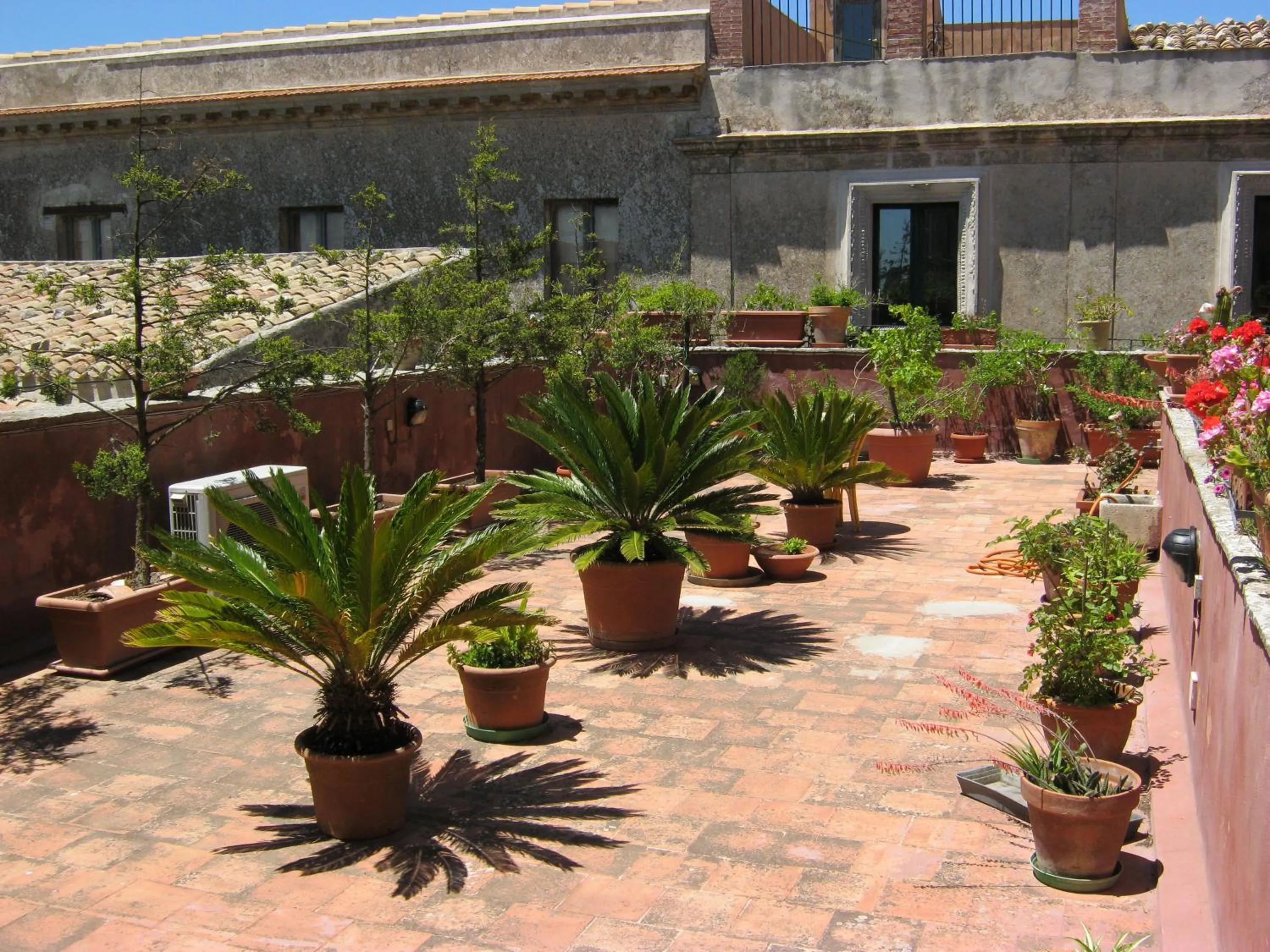 Garden in Hotel Elimo