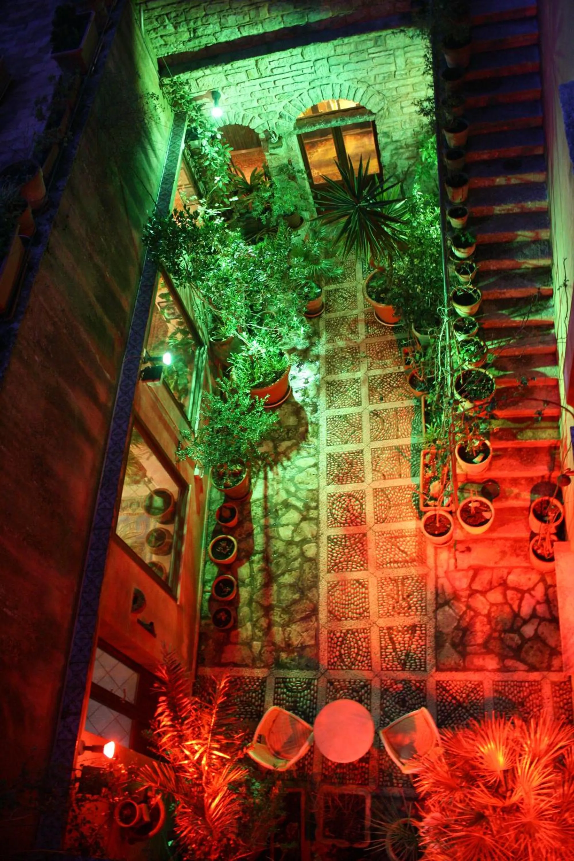 Garden in Hotel Elimo