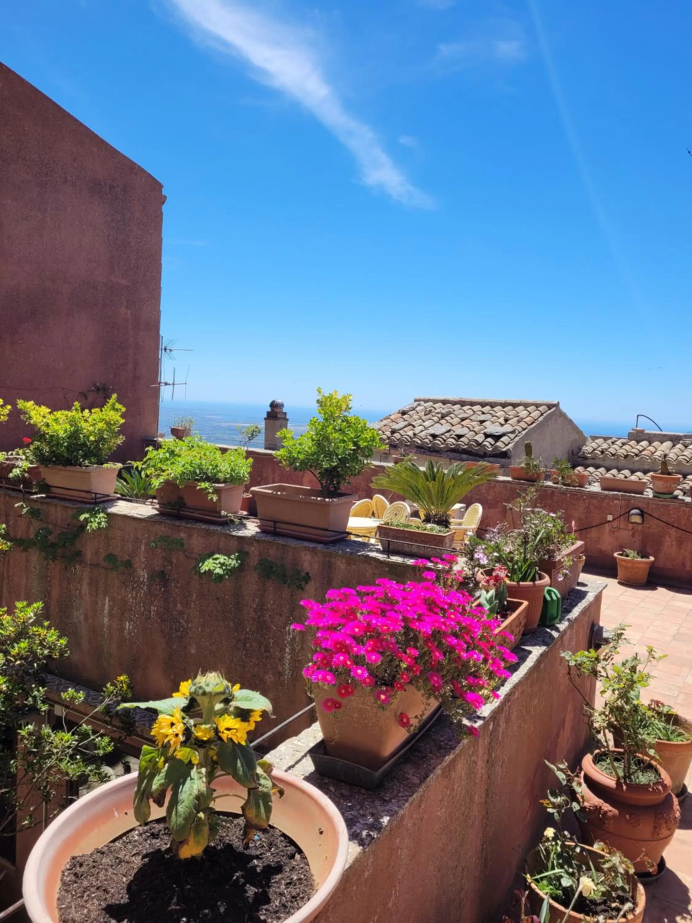 Balcony/Terrace in Hotel Elimo