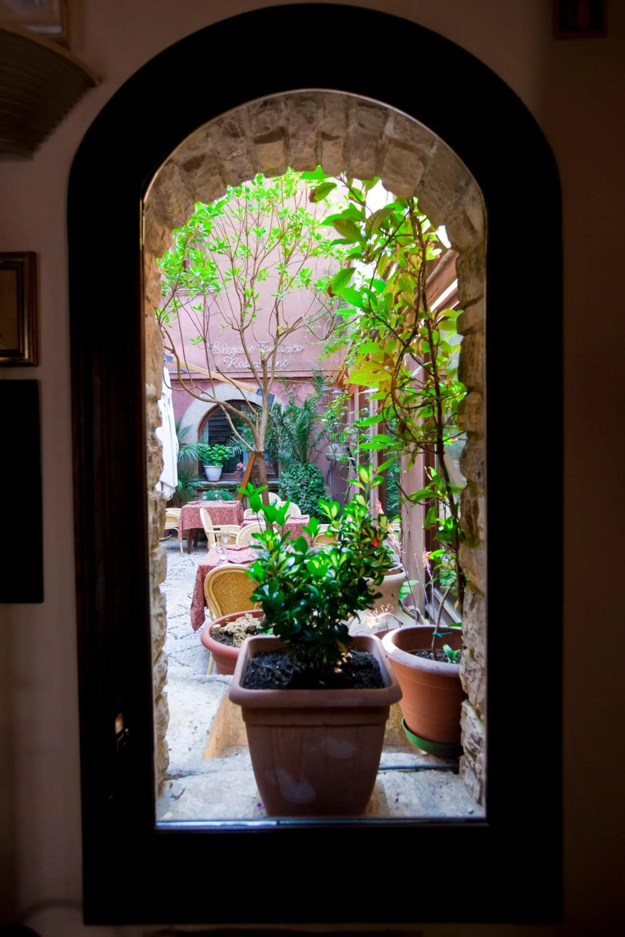 Garden in Hotel Elimo