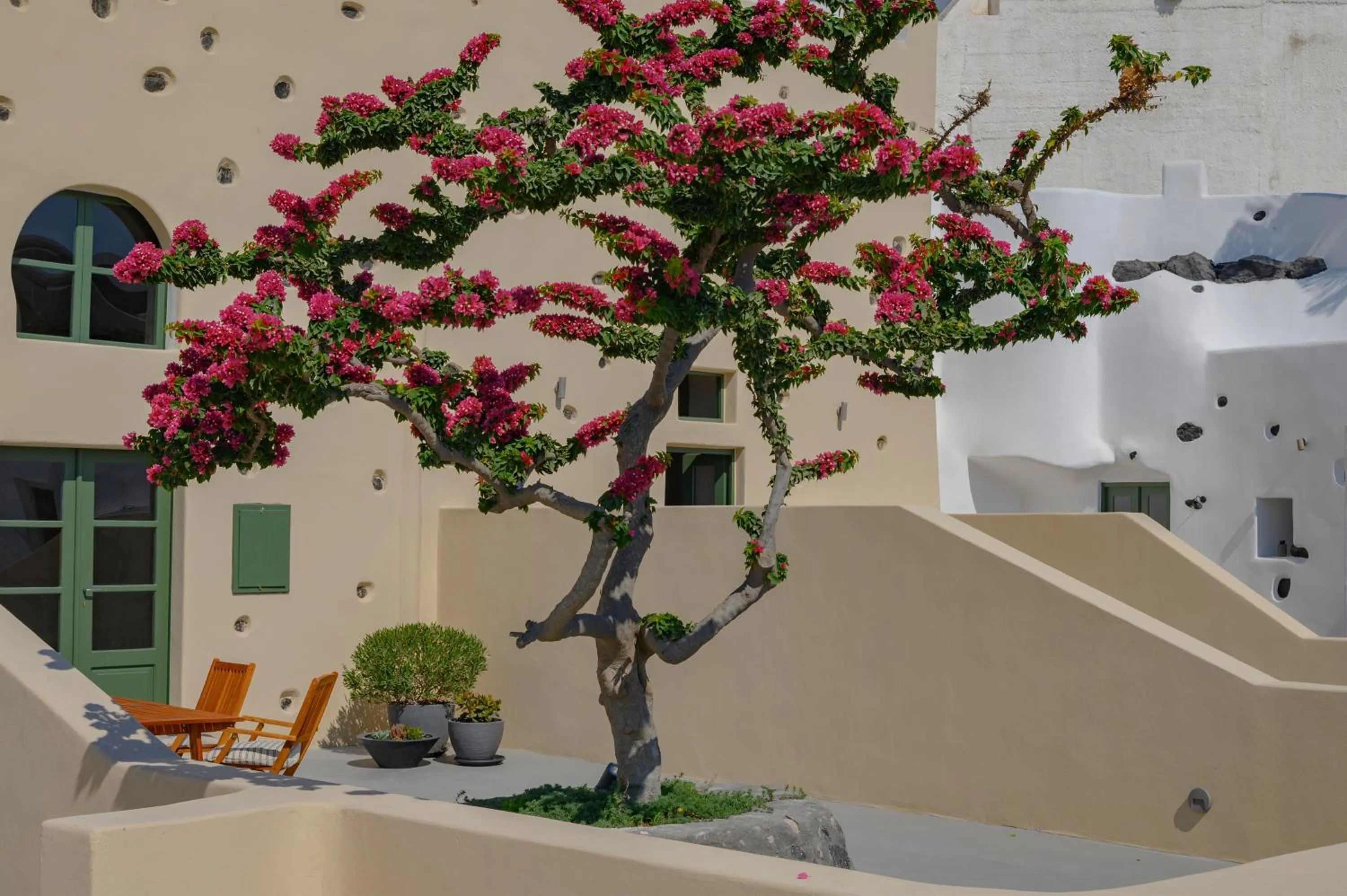 Garden view in Elements Cave Suites