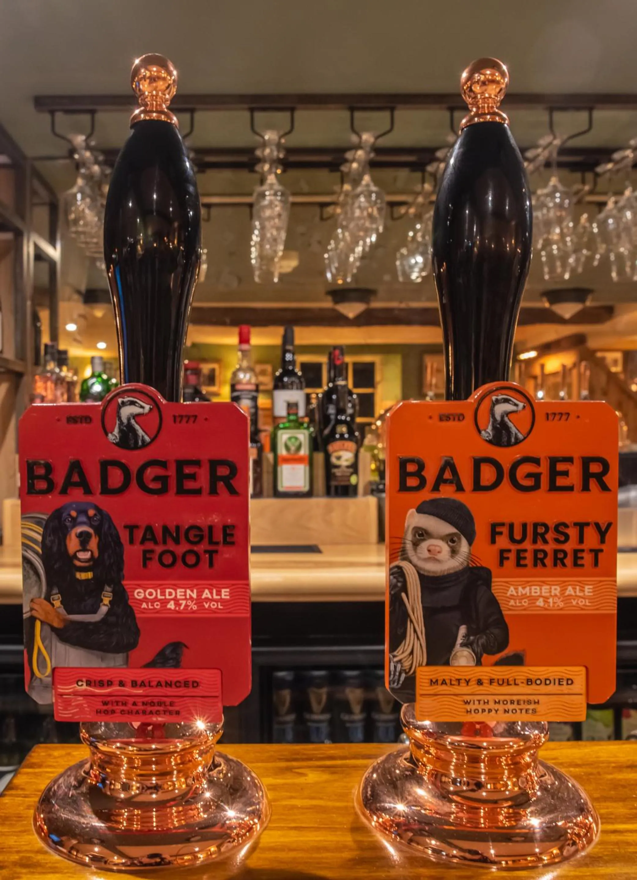 Lounge or bar in The Red Lion