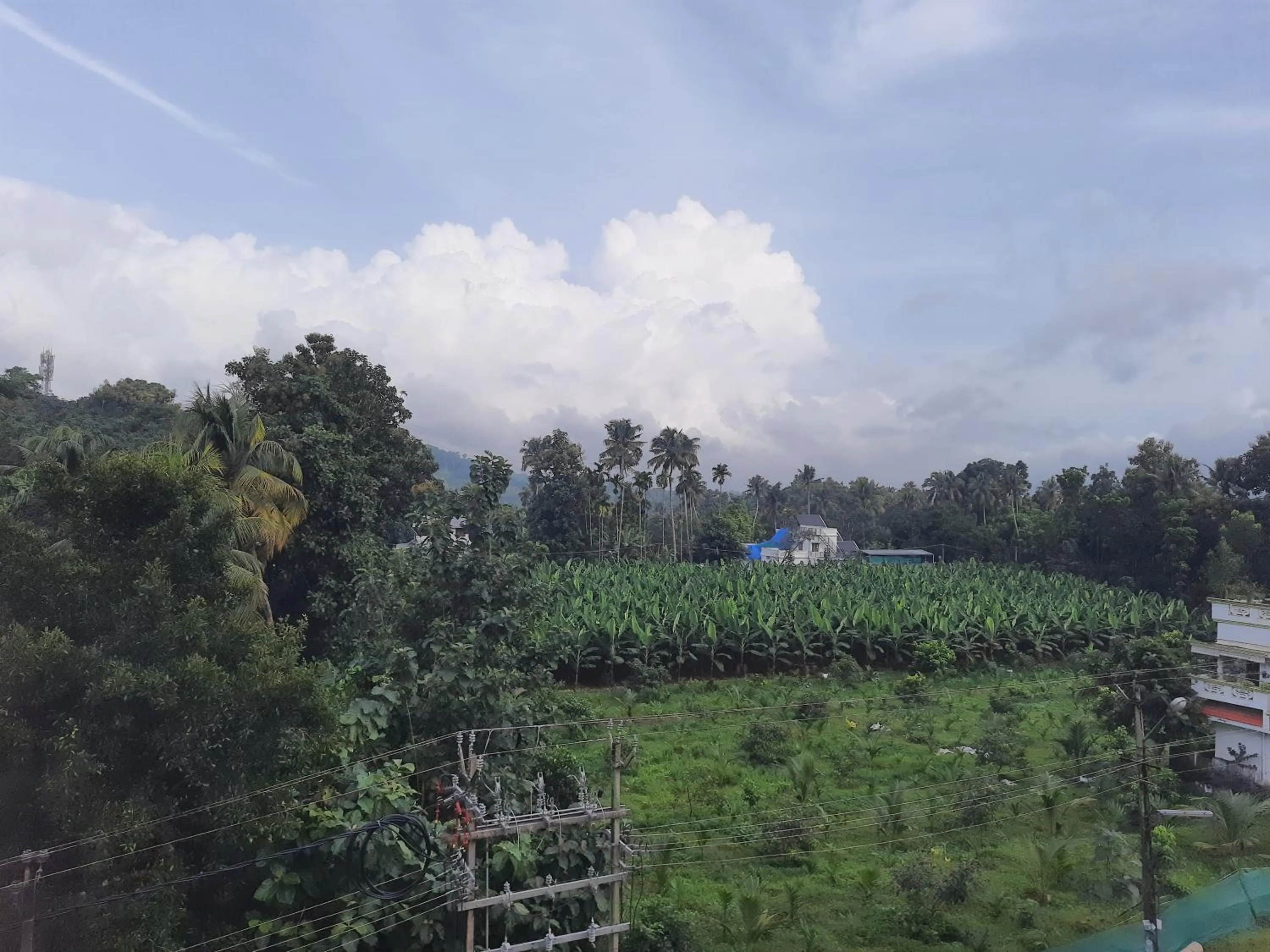 View (from property/room) in Emerald Royal Residency