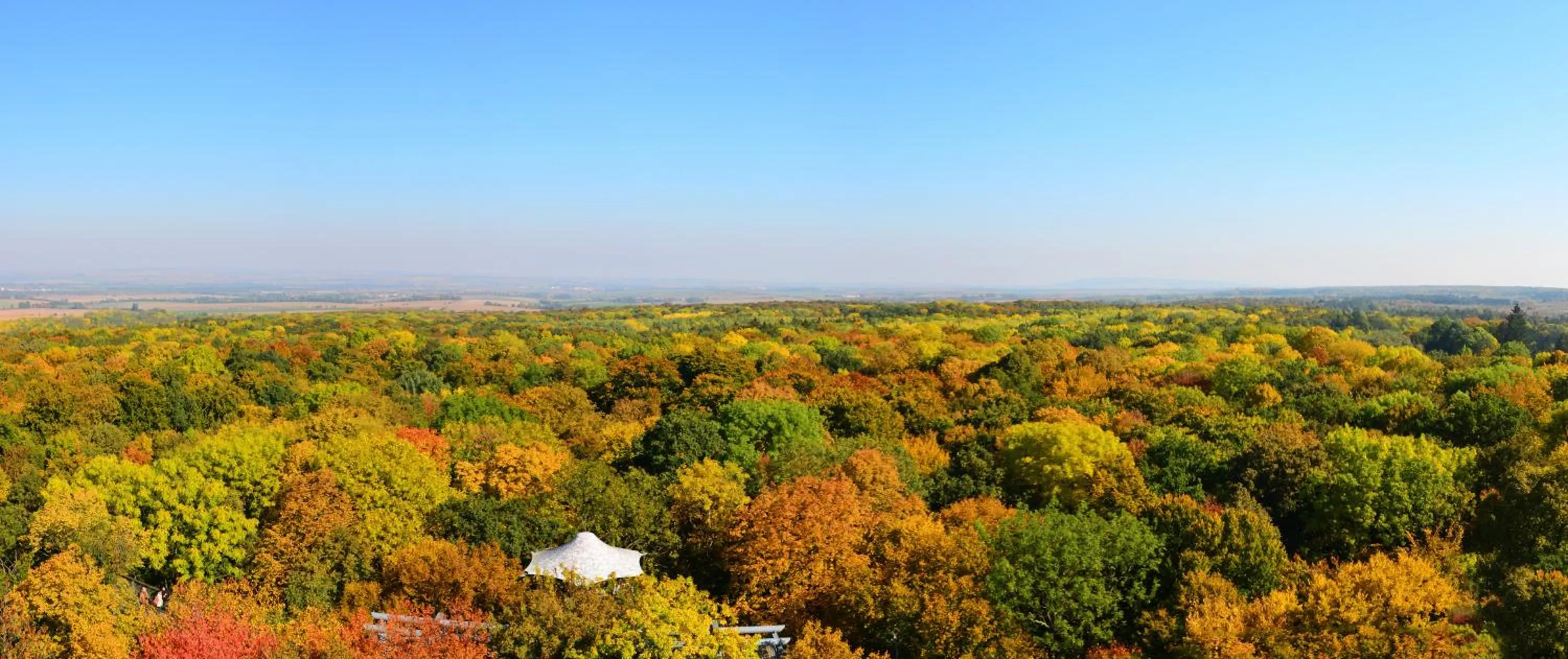Natural landscape in Schloss Goldacker - das Schloss der Gesundheit