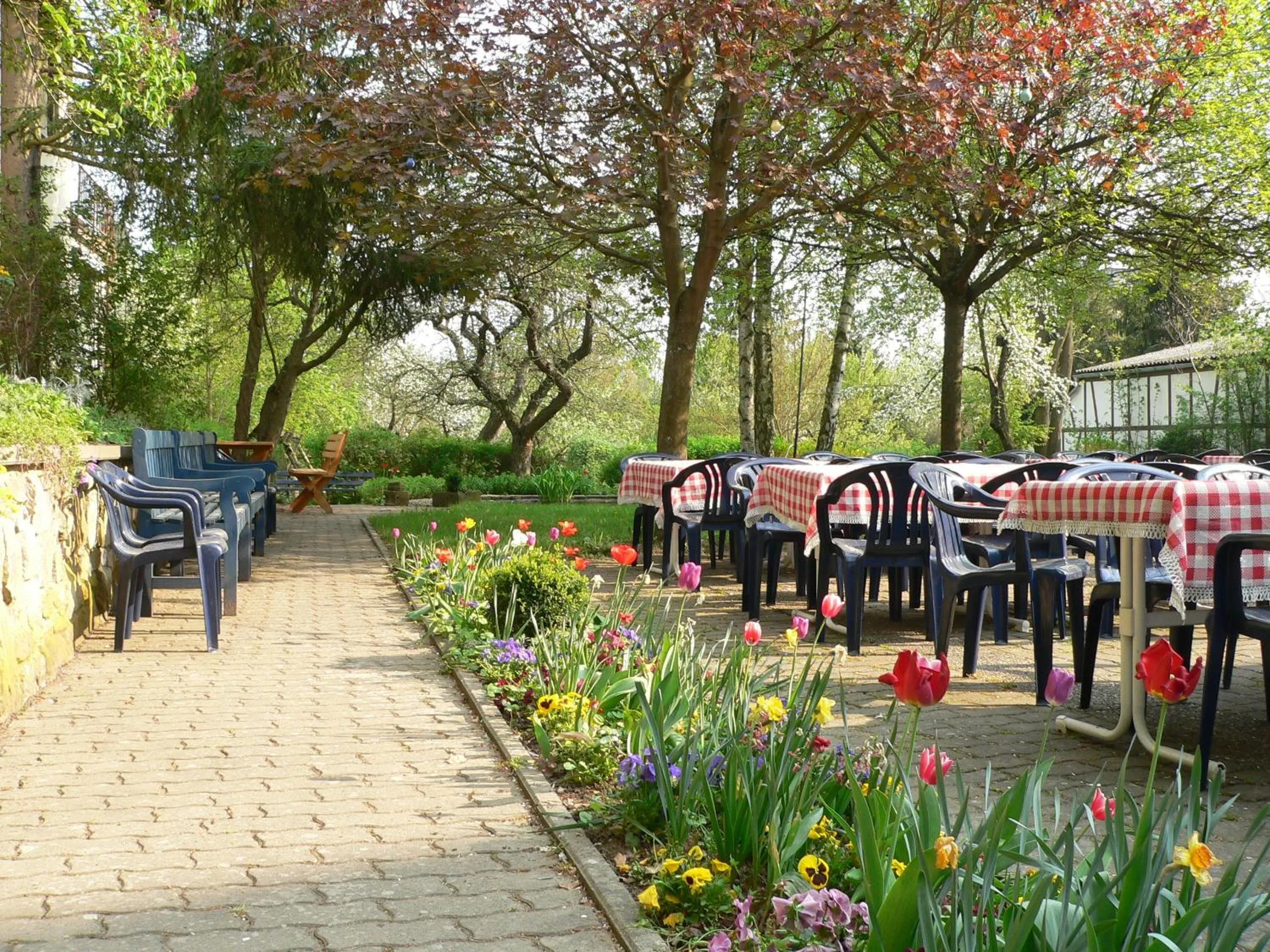 Garden in Hotel Ebner