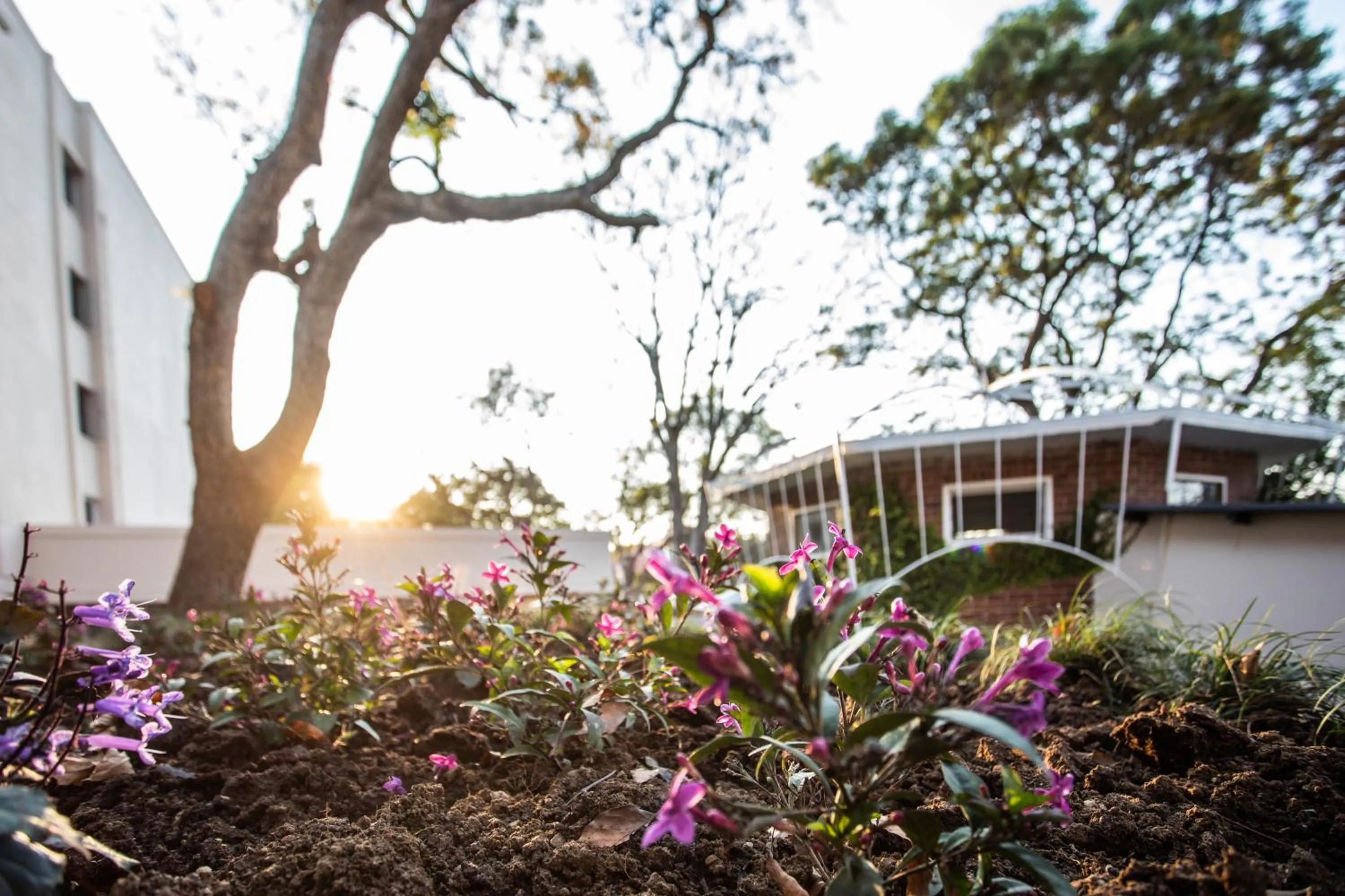 Property building in Southern Sun Ridgeway Lusaka