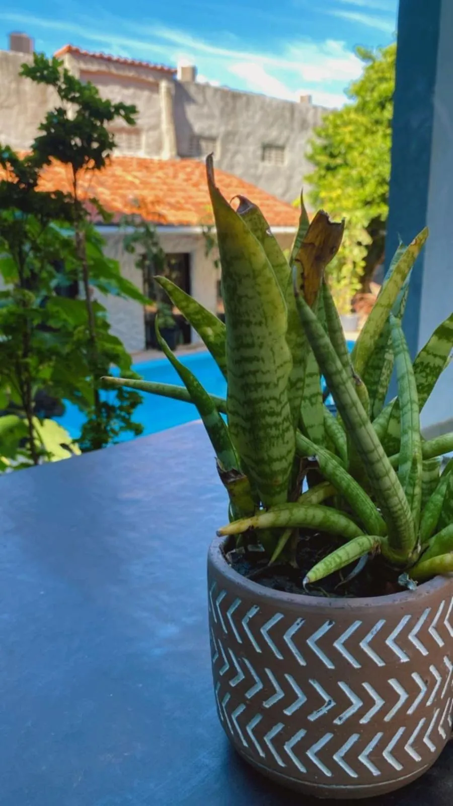 Garden in Pousada Toa Toa Em Pipa