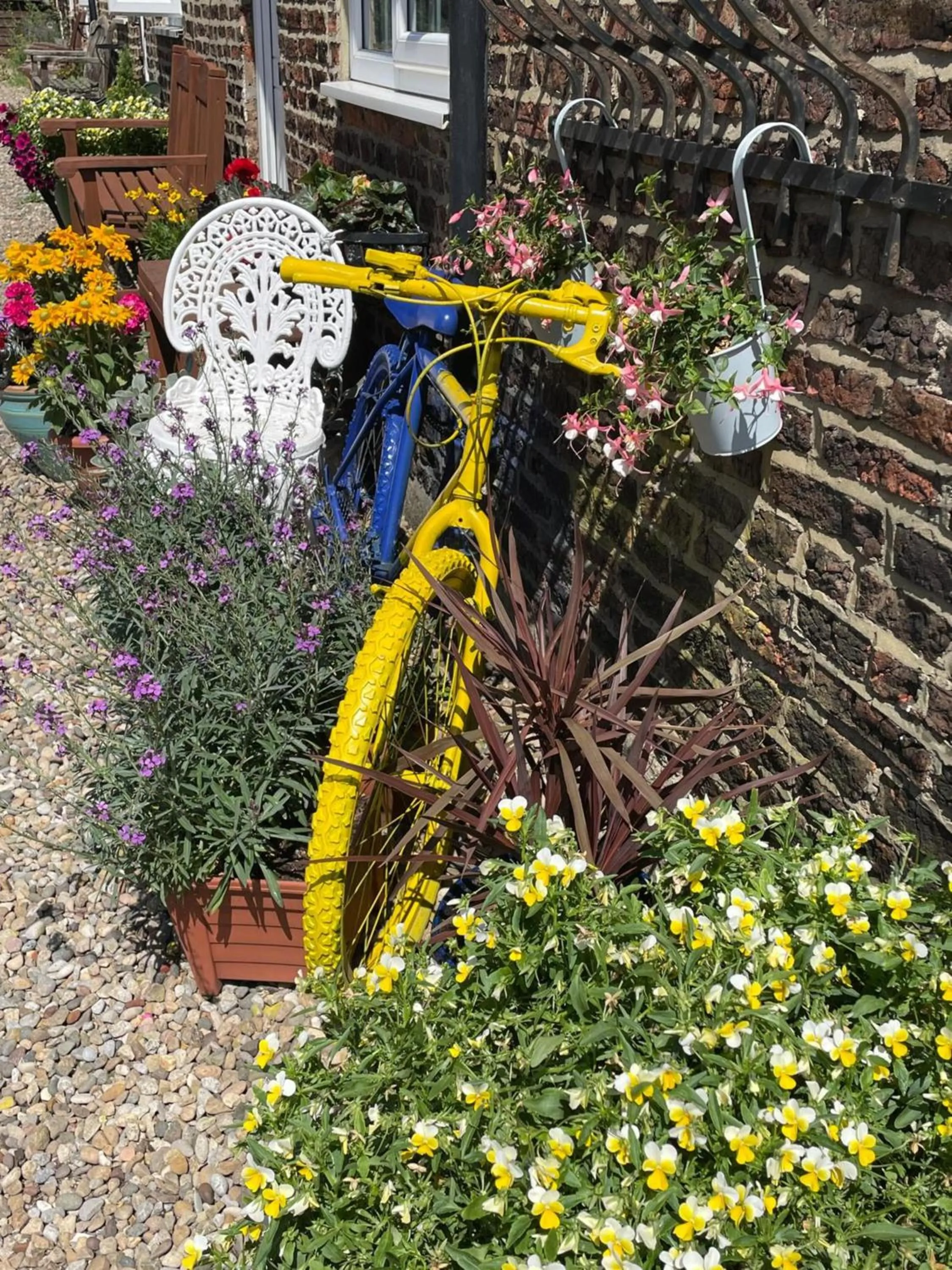 Garden in OYO Yarm Cottages