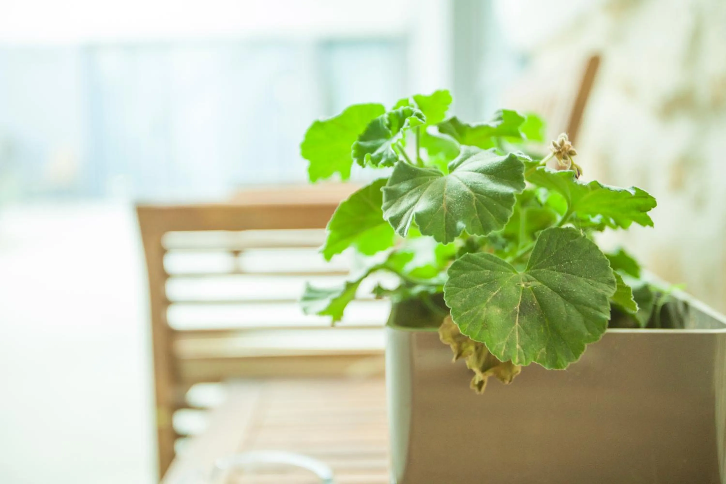 Decorative detail in St. Lazaros Studios