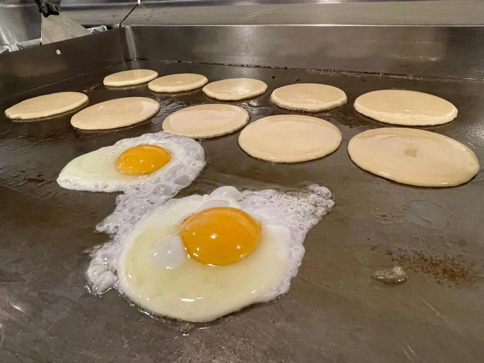 Food and drinks in Riviera Zen Hotel Adult Only