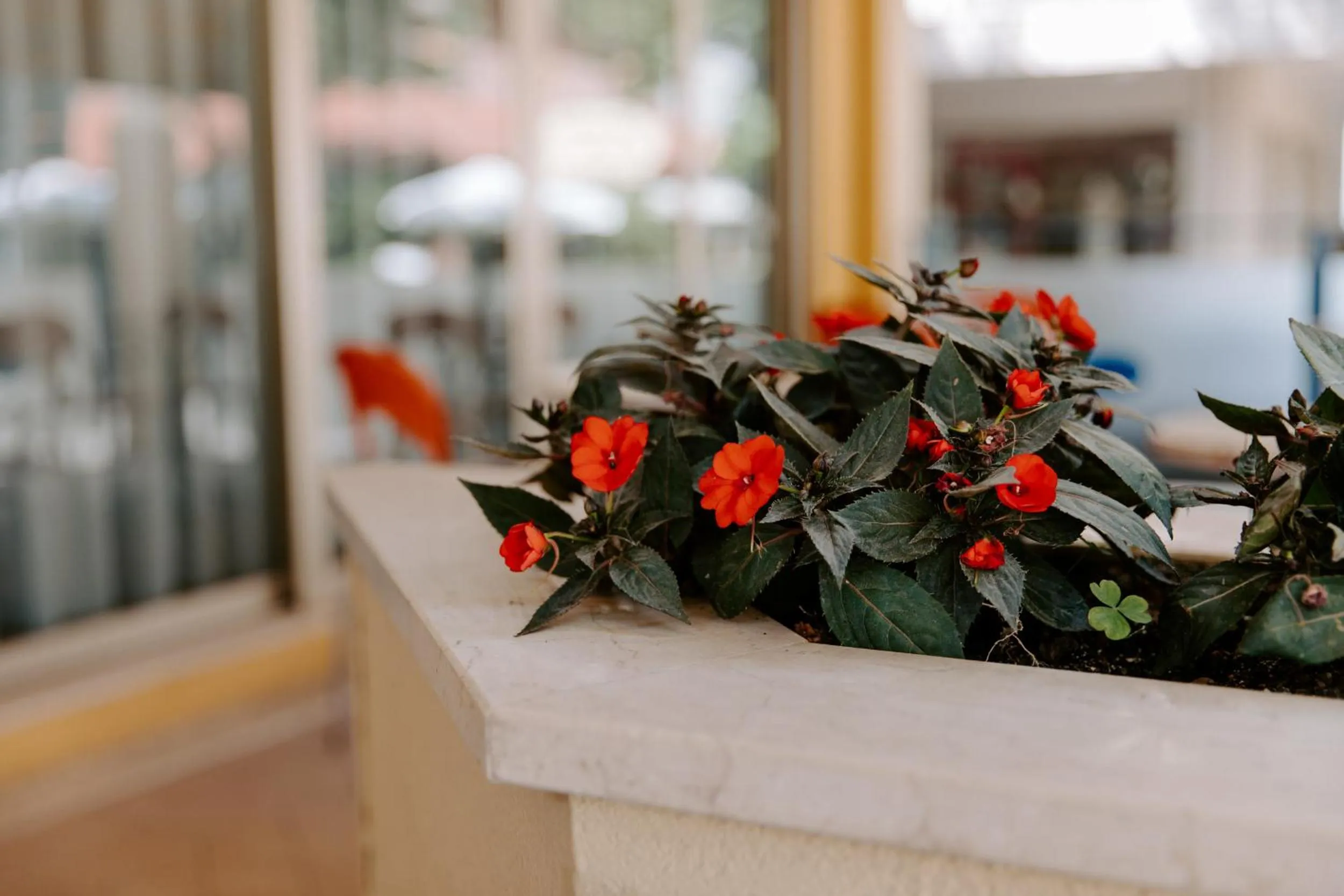 Patio in Hotel Edward