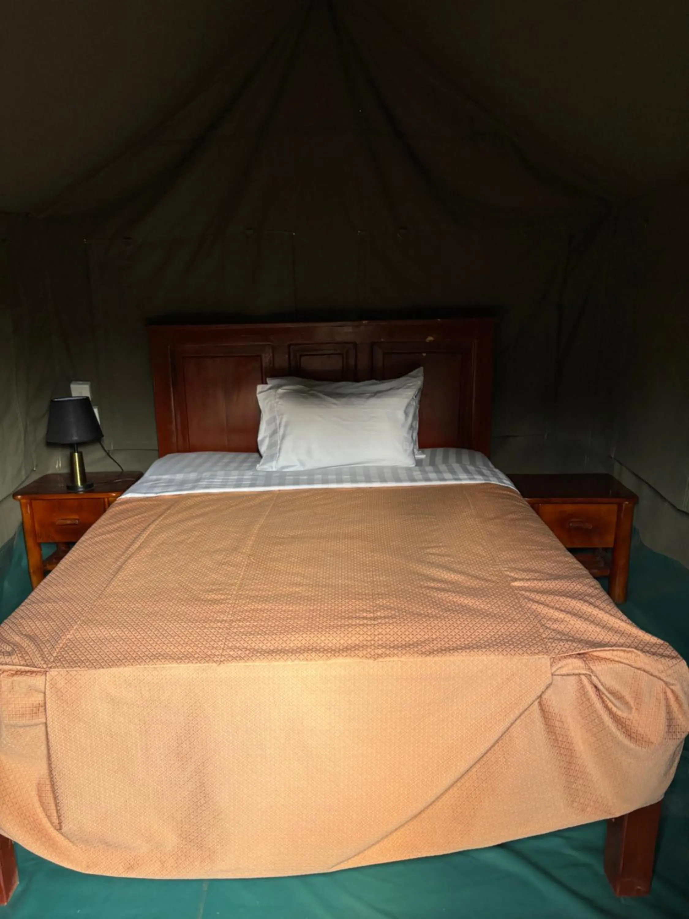 Bedroom, Bed in Ishasha Pride Lodge