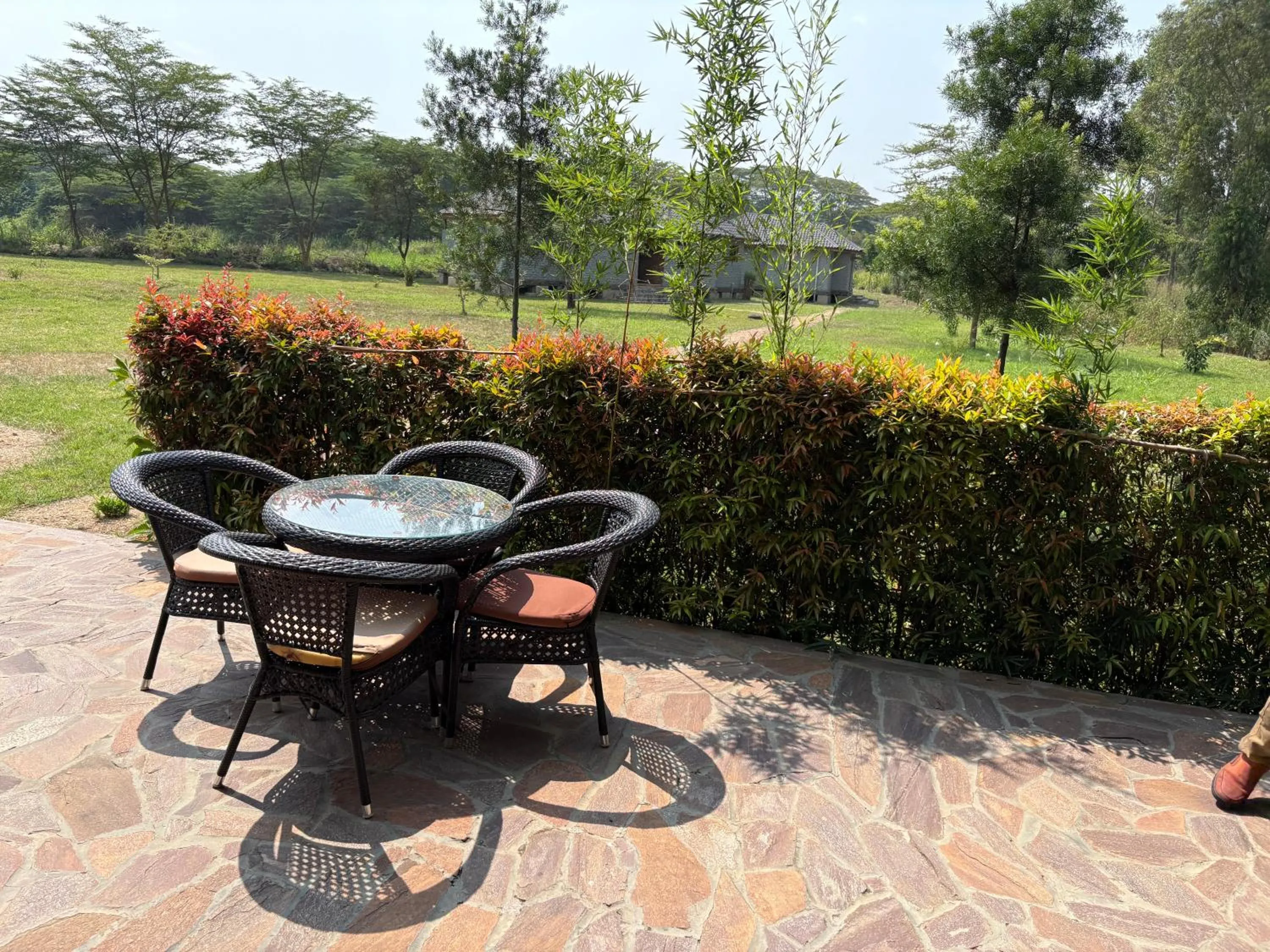 Garden in Ishasha Pride Lodge