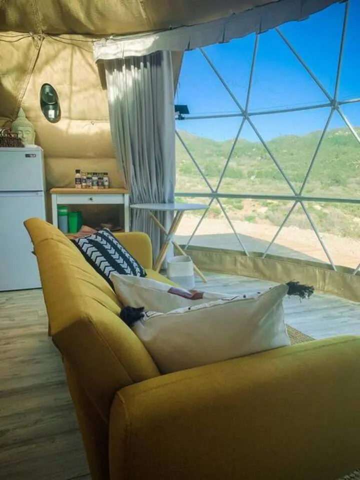 Day in Sage Desert Dreams