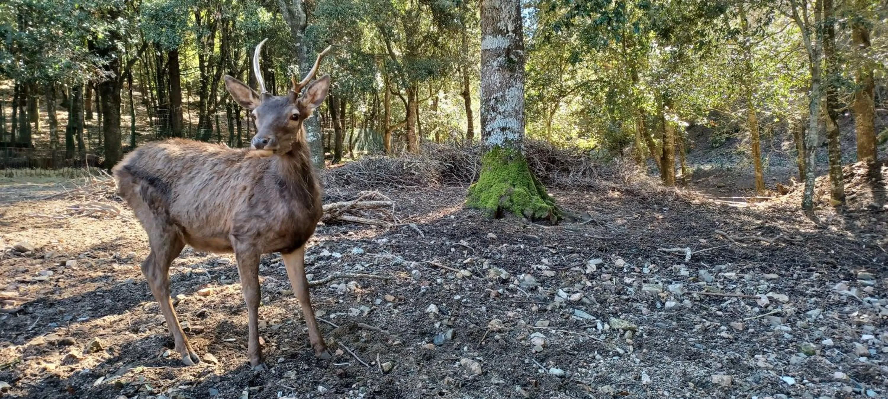 Hiking in Hotel Domu Incantada