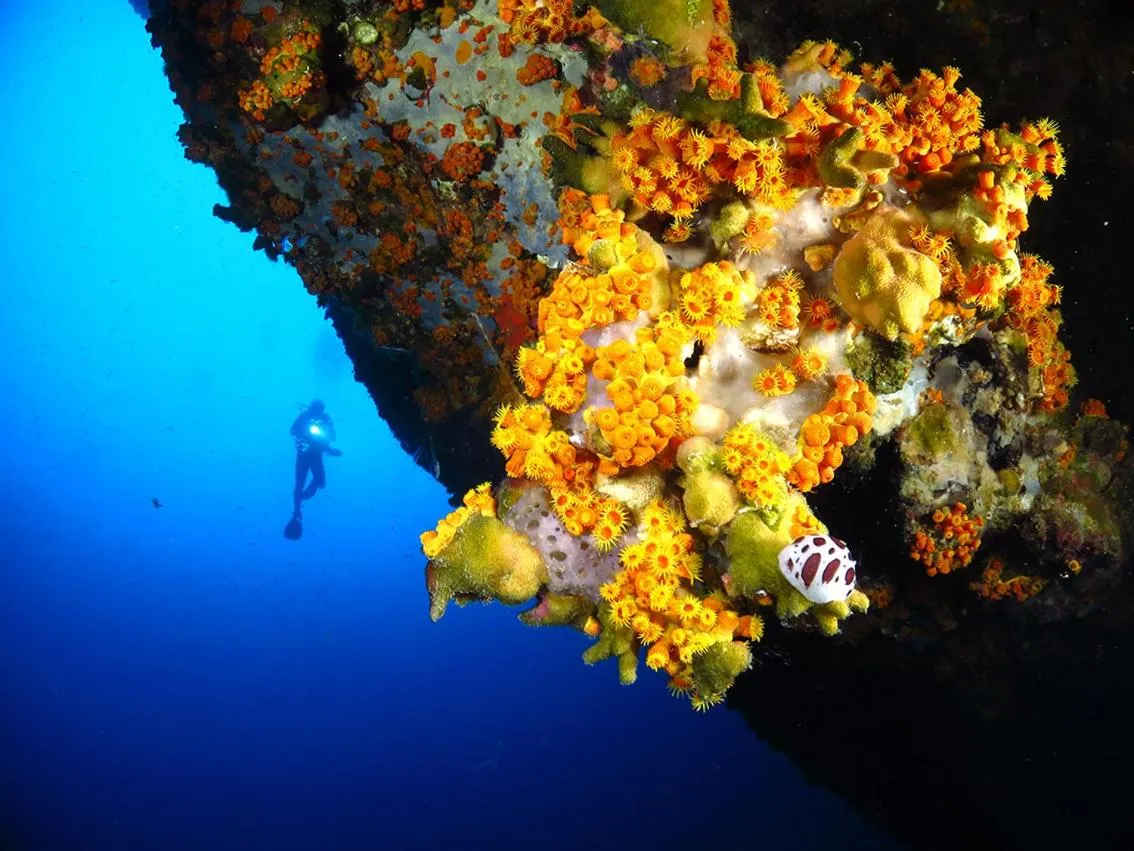 Diving in Hotel Domu Incantada