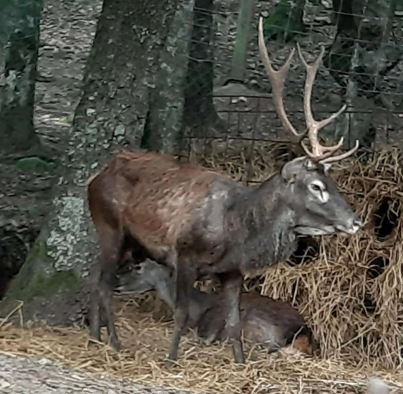 Hiking in Hotel Domu Incantada