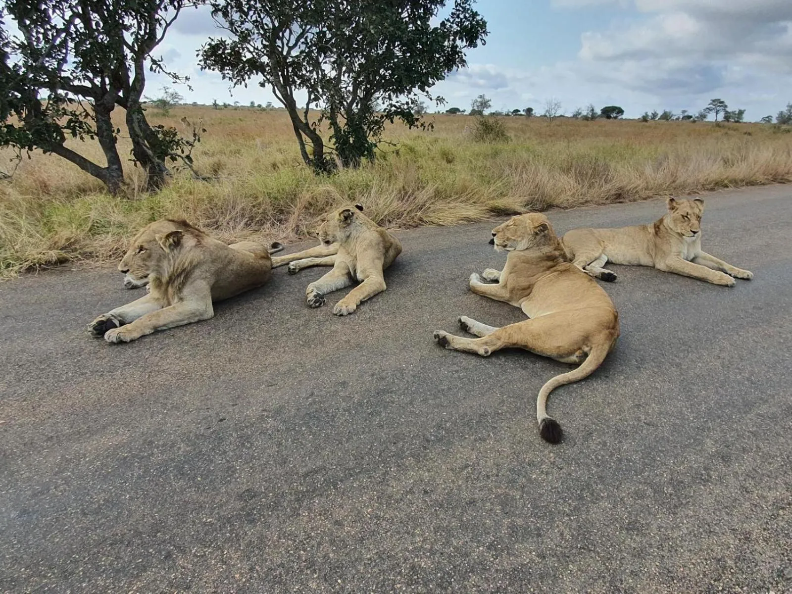 Nearby landmark in Masorini Bush Lodge & Safari Tents