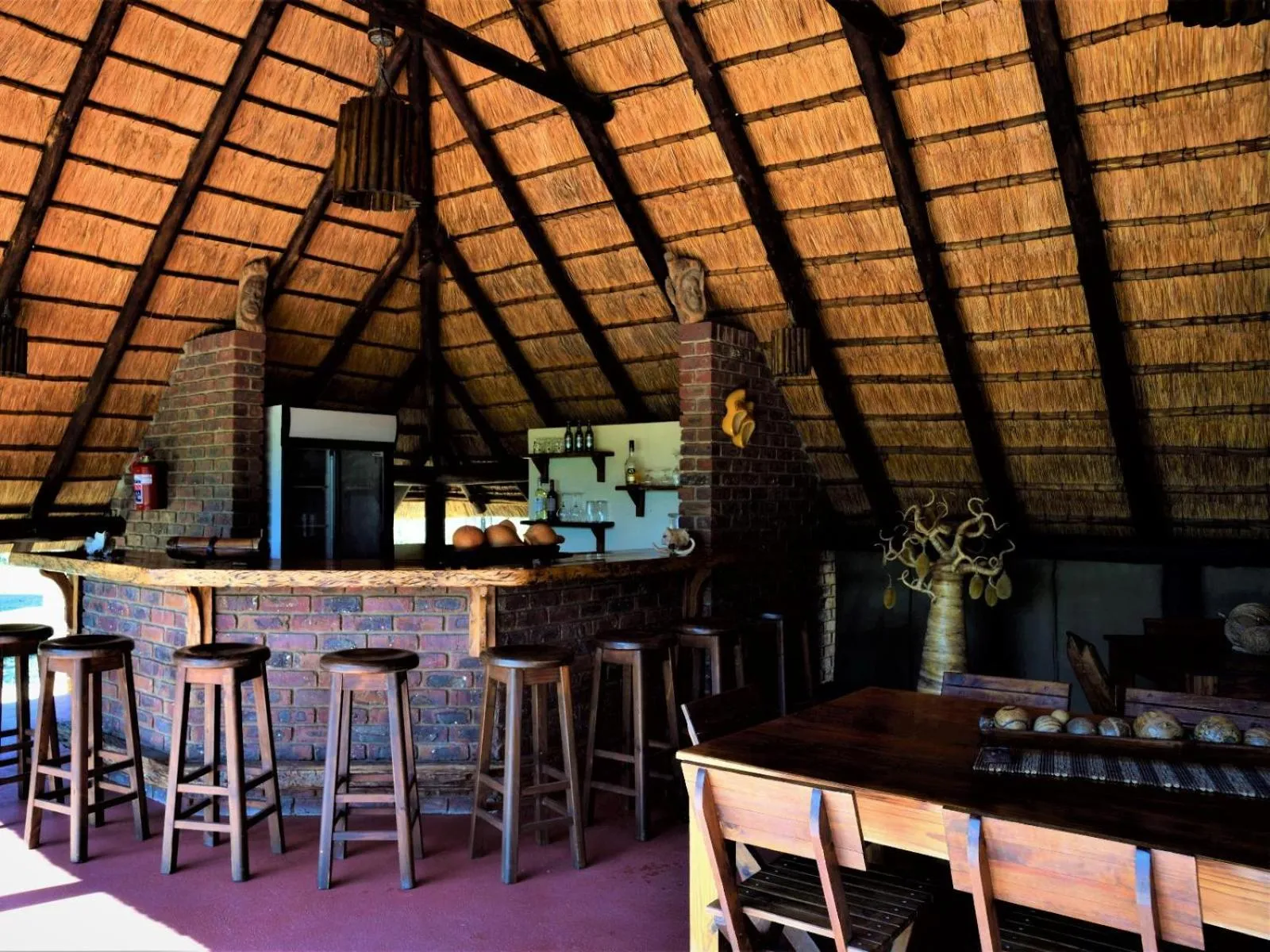 Lounge or bar in Masorini Bush Lodge & Safari Tents