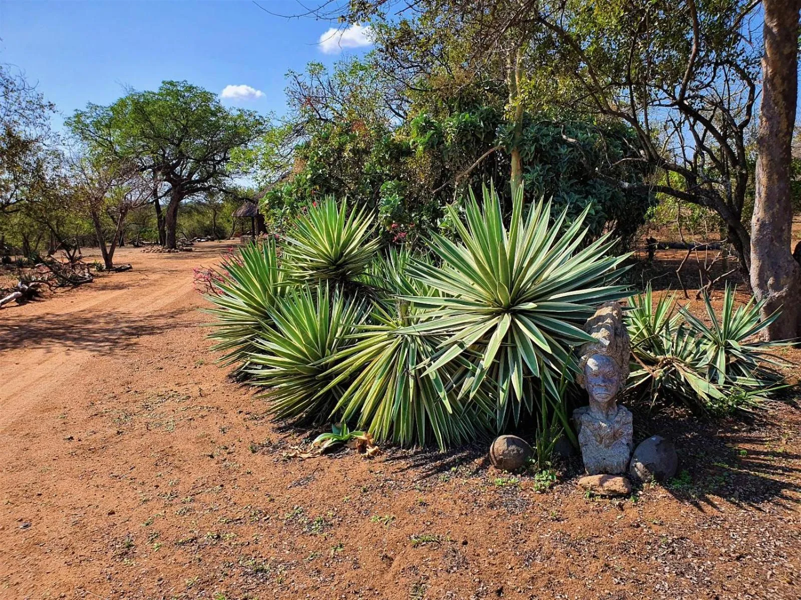 Garden in Masorini Bush Lodge & Safari Tents