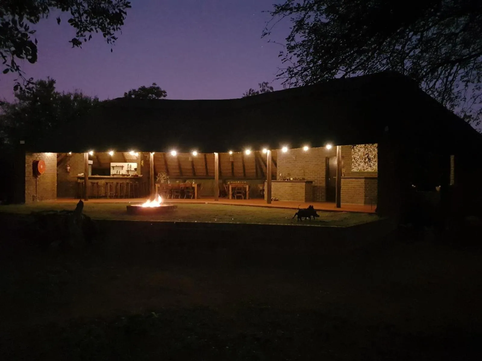 Masorini Bush Lodge & Safari Tents