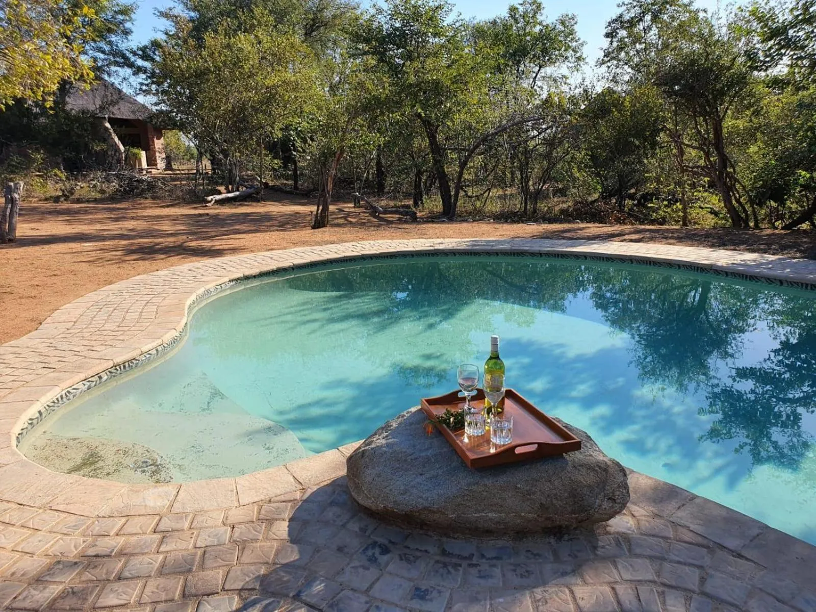 Swimming pool in Masorini Bush Lodge & Safari Tents