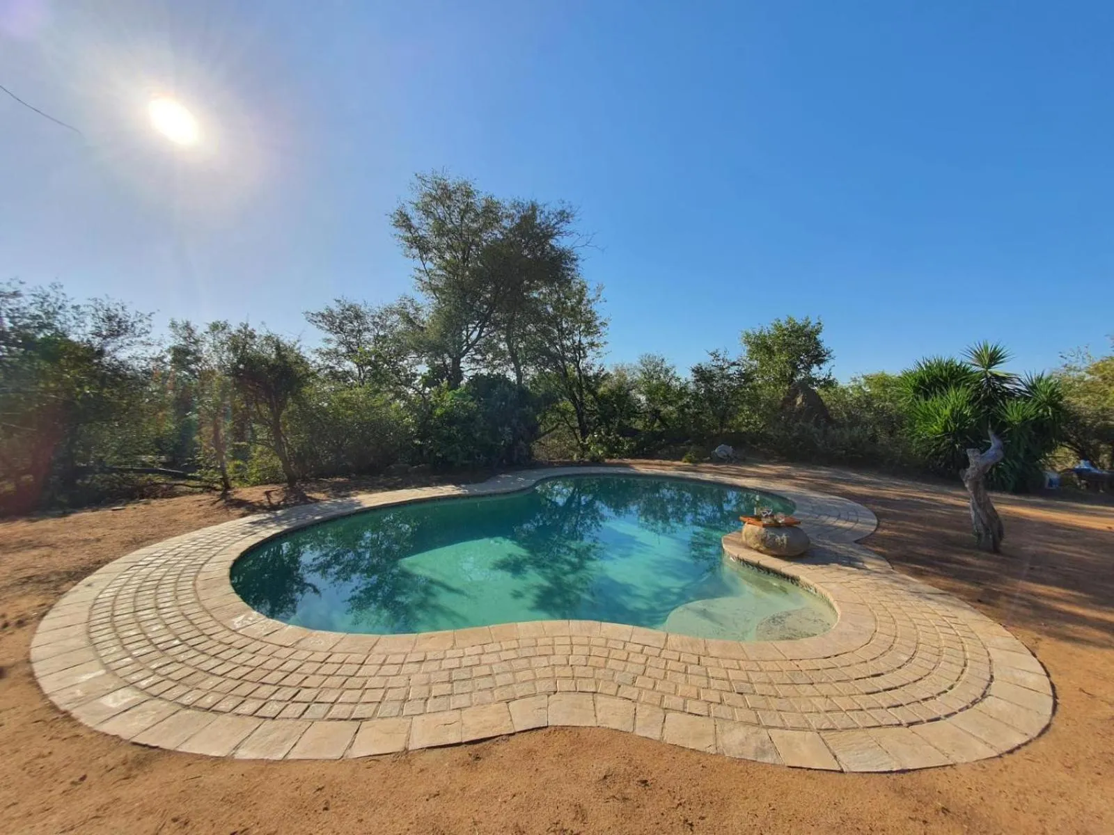 Swimming pool in Masorini Bush Lodge & Safari Tents