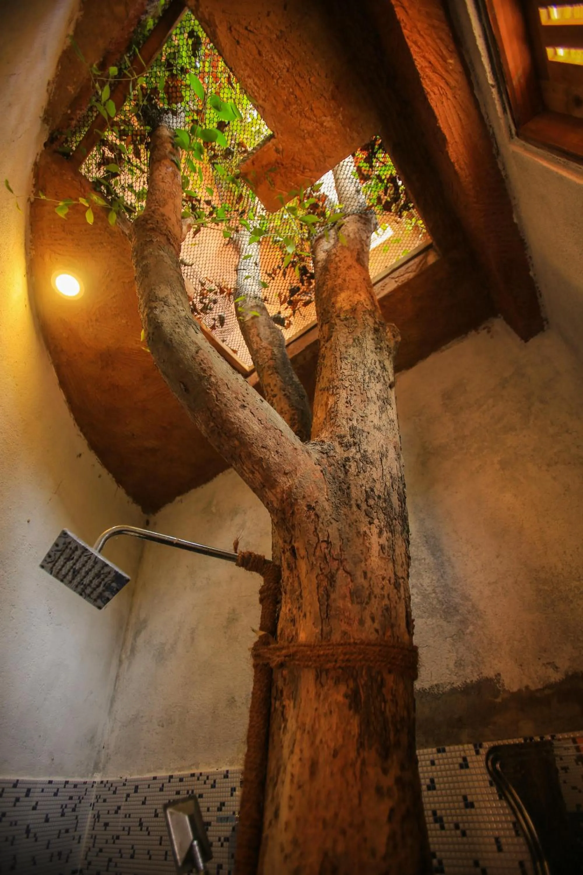 Property building in Jungle Hut Resort Sigiriya