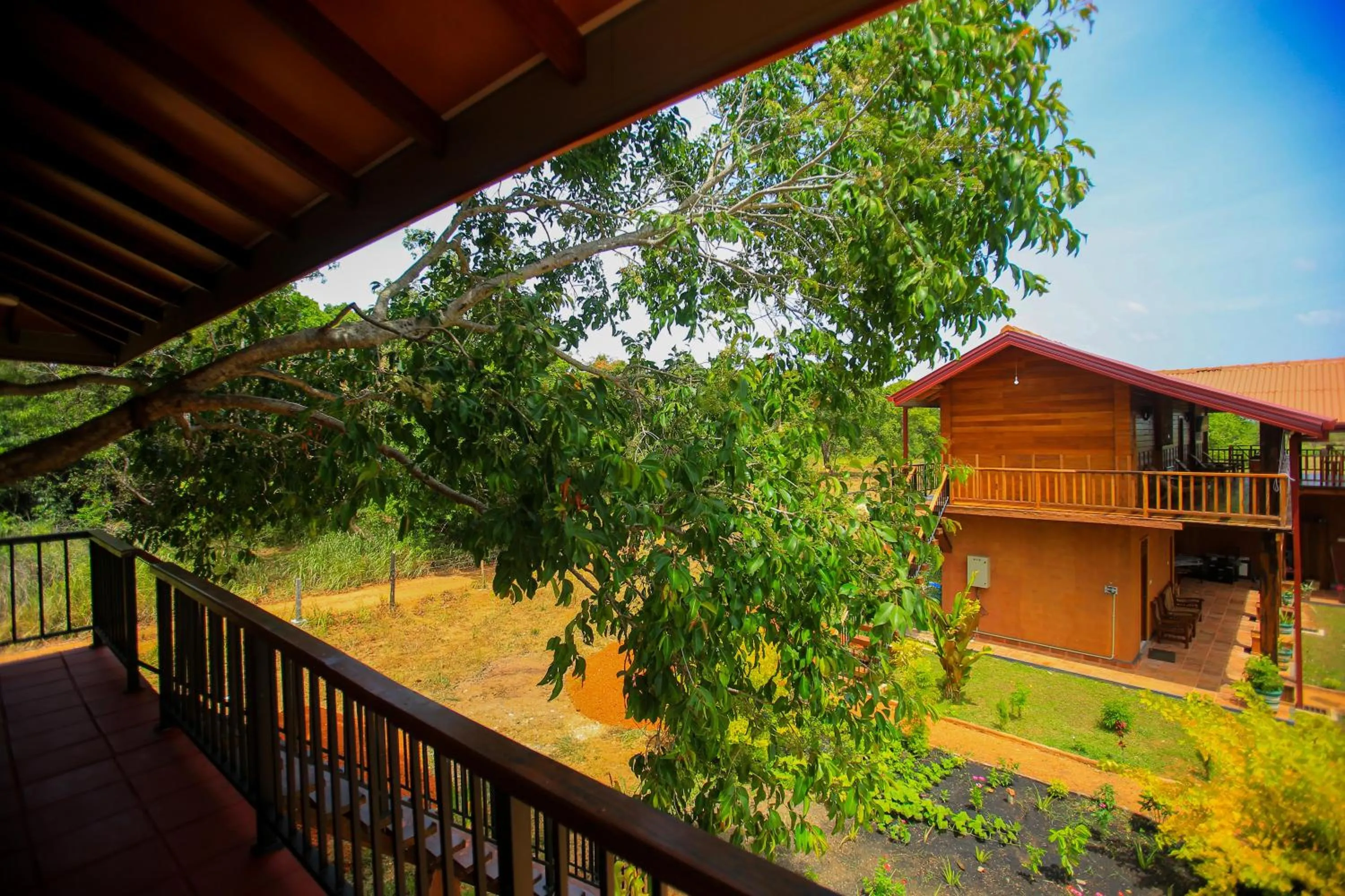 Balcony/Terrace in Jungle Hut Resort Sigiriya