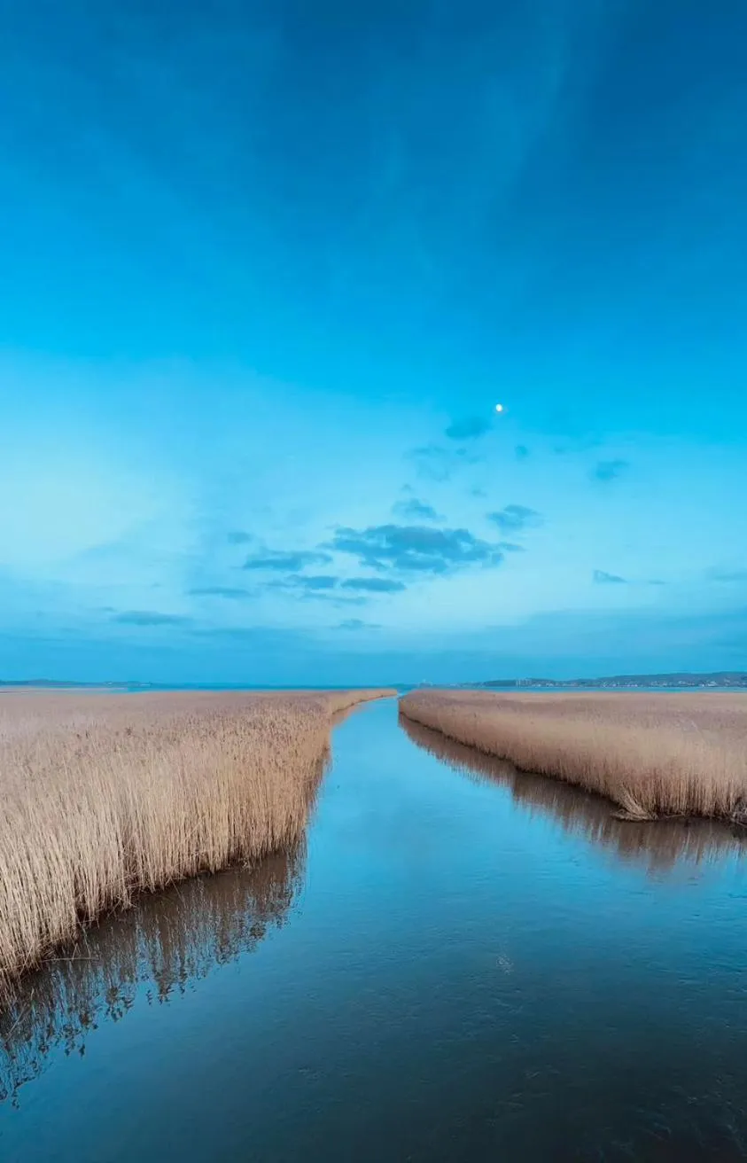 Natural landscape in Hørby Færgekro